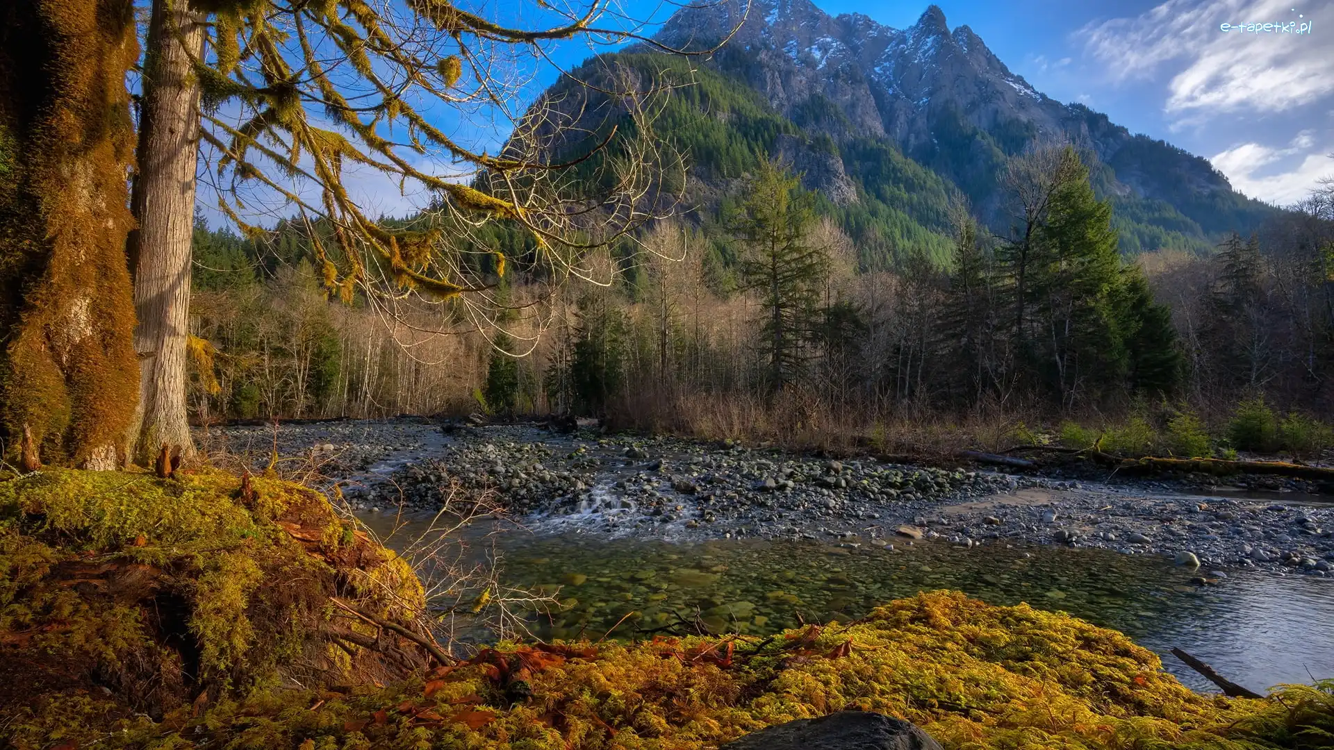 Rzeka, Garfield Peak, Góra, Dolina, Park Narodowy Jeziora Kraterowego, Oregon, Kamienie, Middle Fork Valley, Drzewa, Stany Zjednoczone, Taylor River, Góry