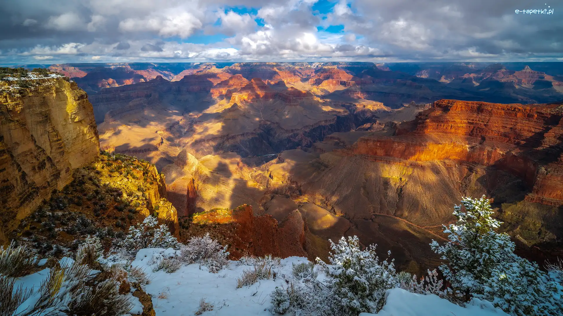Rośliny, Wielki Kanion Kolorado, Stany Zjednoczone, Arizona, Grand Canyon, Śnieg, Góry, Park Narodowy Wielkiego Kanionu