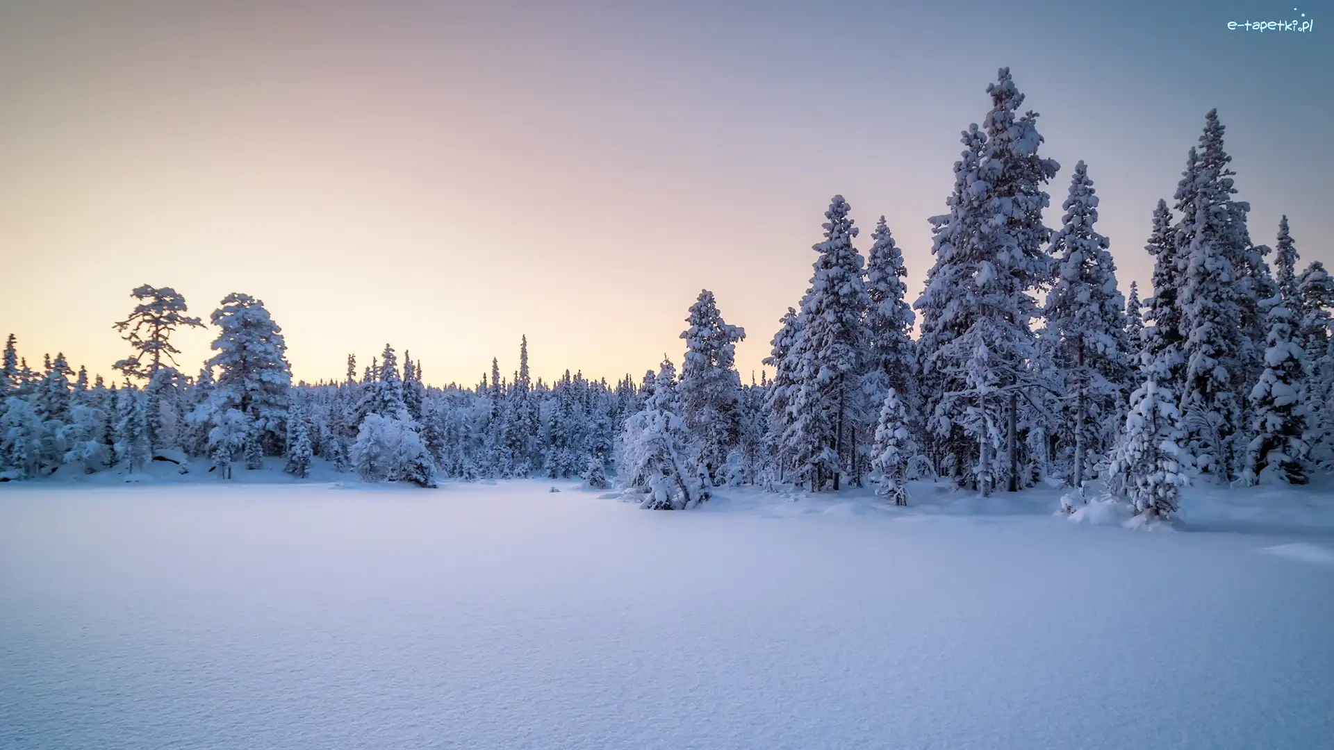Śnieg, Park Narodowy Paanajarwi, Zima, Drzewa, Karelia, Rosja