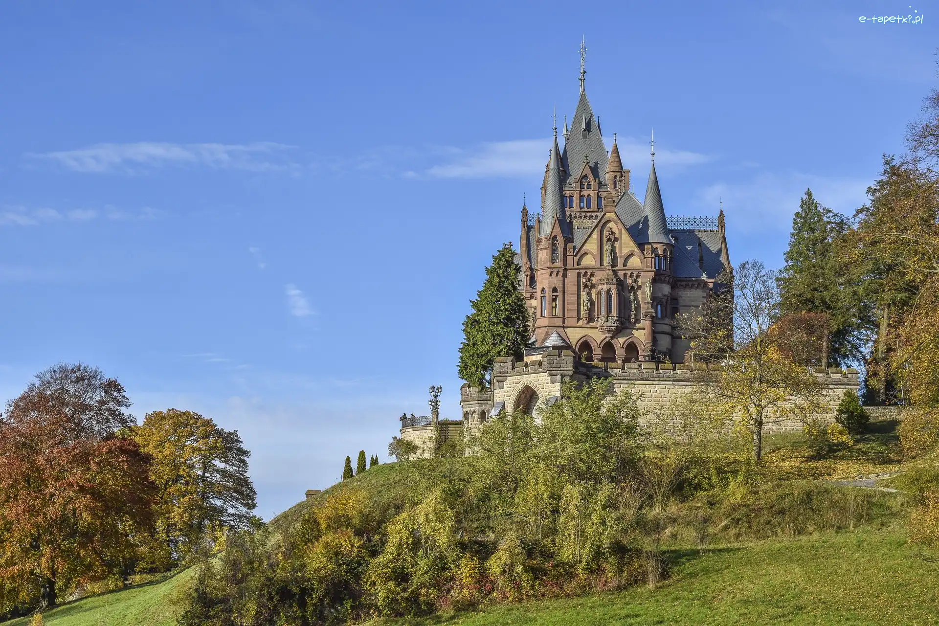 Zamek Drachenburg, Konigswinter, Drzewa, Niemcy, Powiat Rhein-Sieg