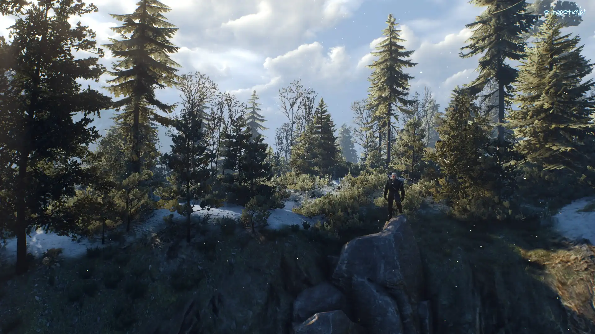Geralt, Witcher 3 Wild Hunt, Las, Wiedźmin 3 Dziki Gon, Gra, Skały, Drzewa