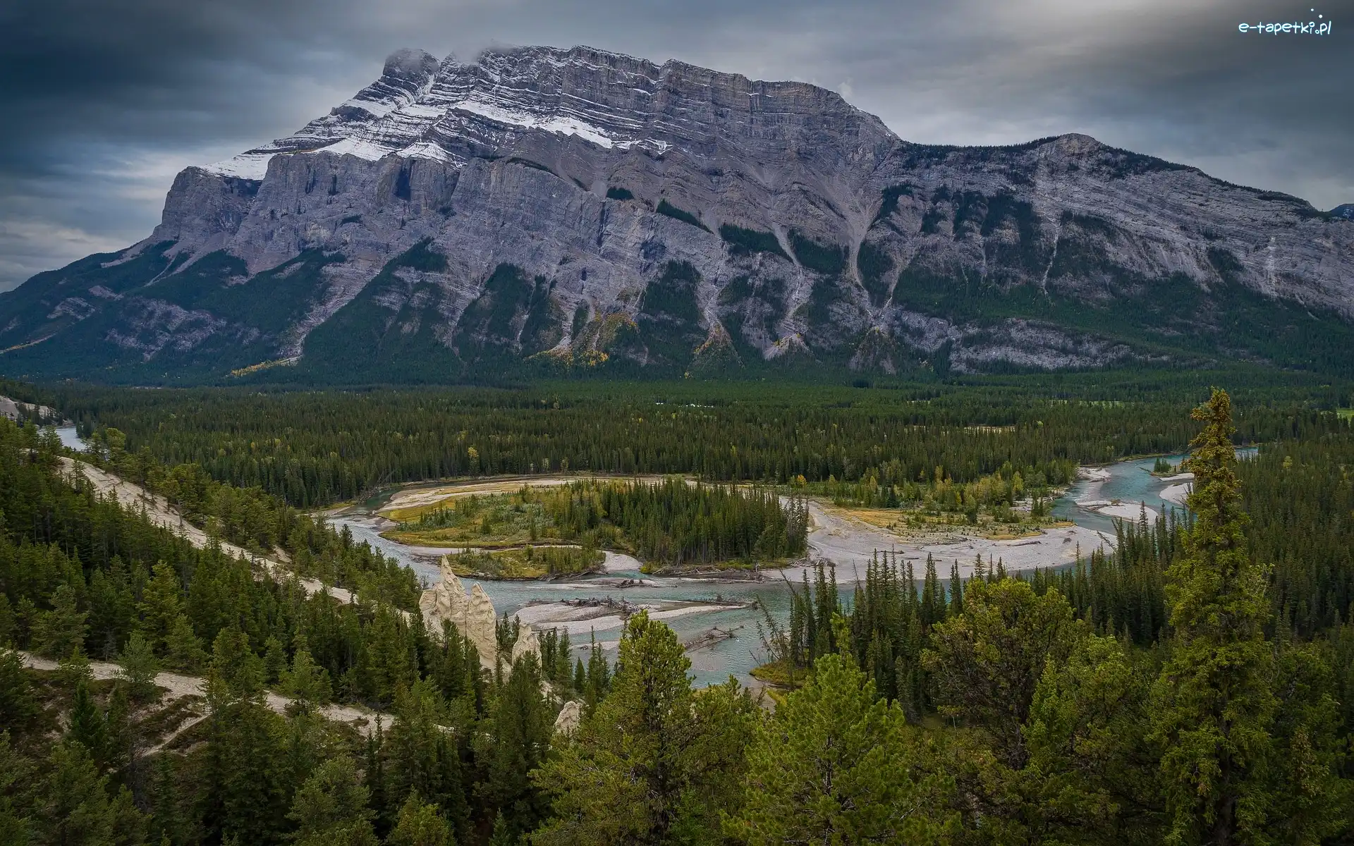 Drzewa, Rzeka, Kanada, Alberta, Bow River, Świerki, Park Narodowy Banff, Góry