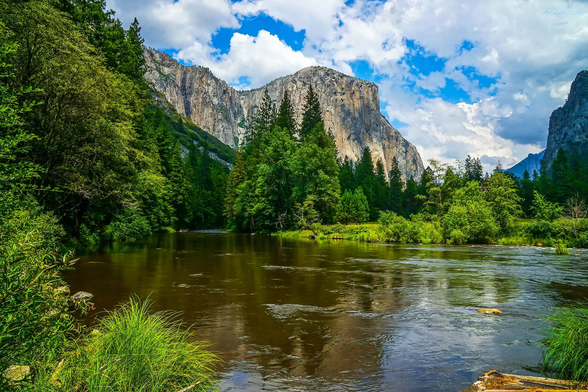 Góry Skaliste, Rzeka, Stany Zjednoczone, Kalifornia, Merced River, Zielone, Drzewa, Park Narodowy Yosemite
