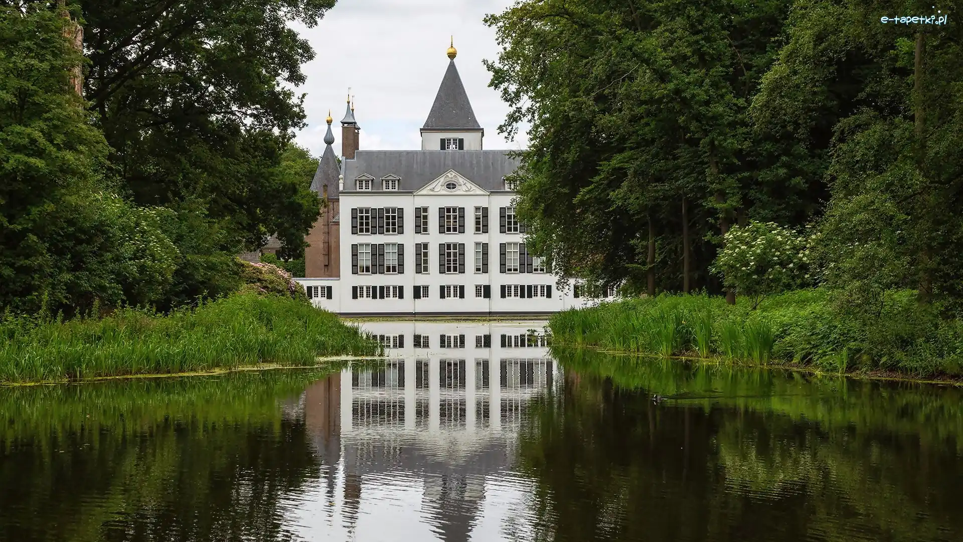Drzewa, Castle Renswoude, Staw, Krzewy, Zamek, Holandia
