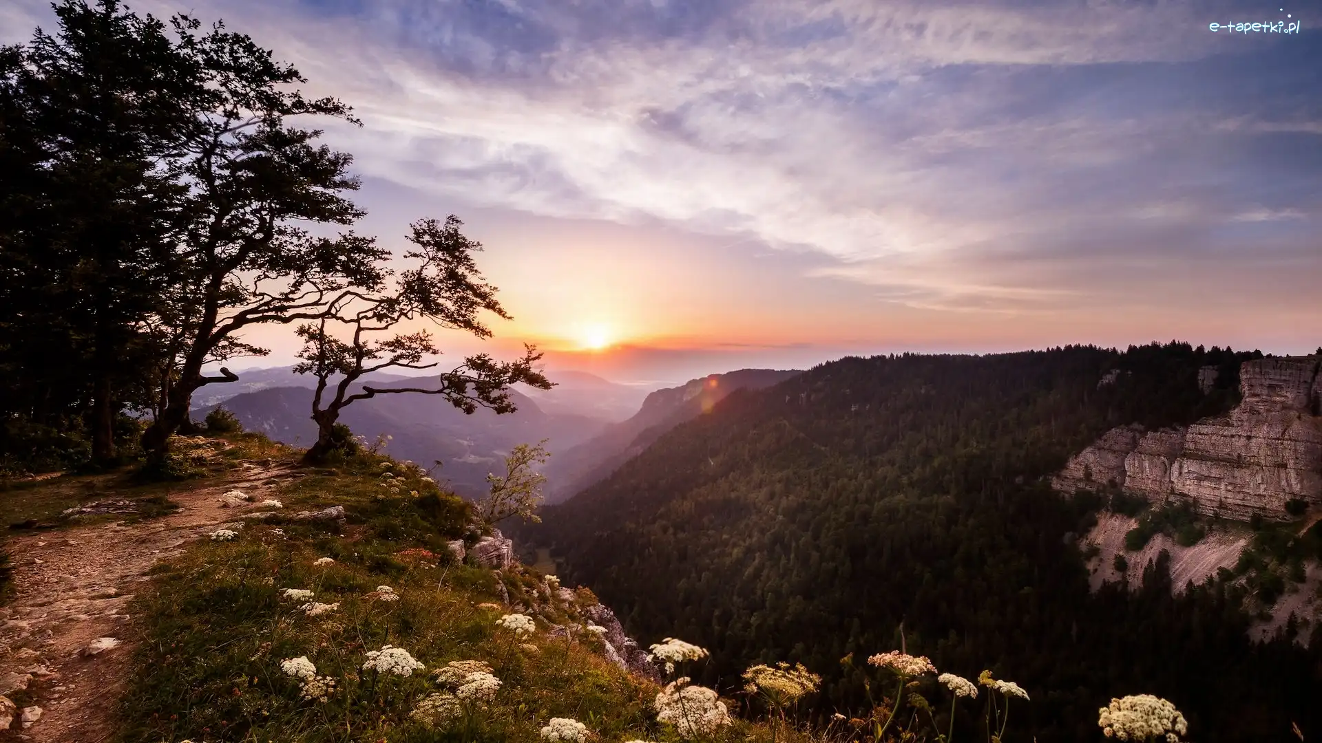Roślinność, Creux du Van, Góry Jura, Neuchatel, Szwajcaria, Drzewa, Wschód słońca