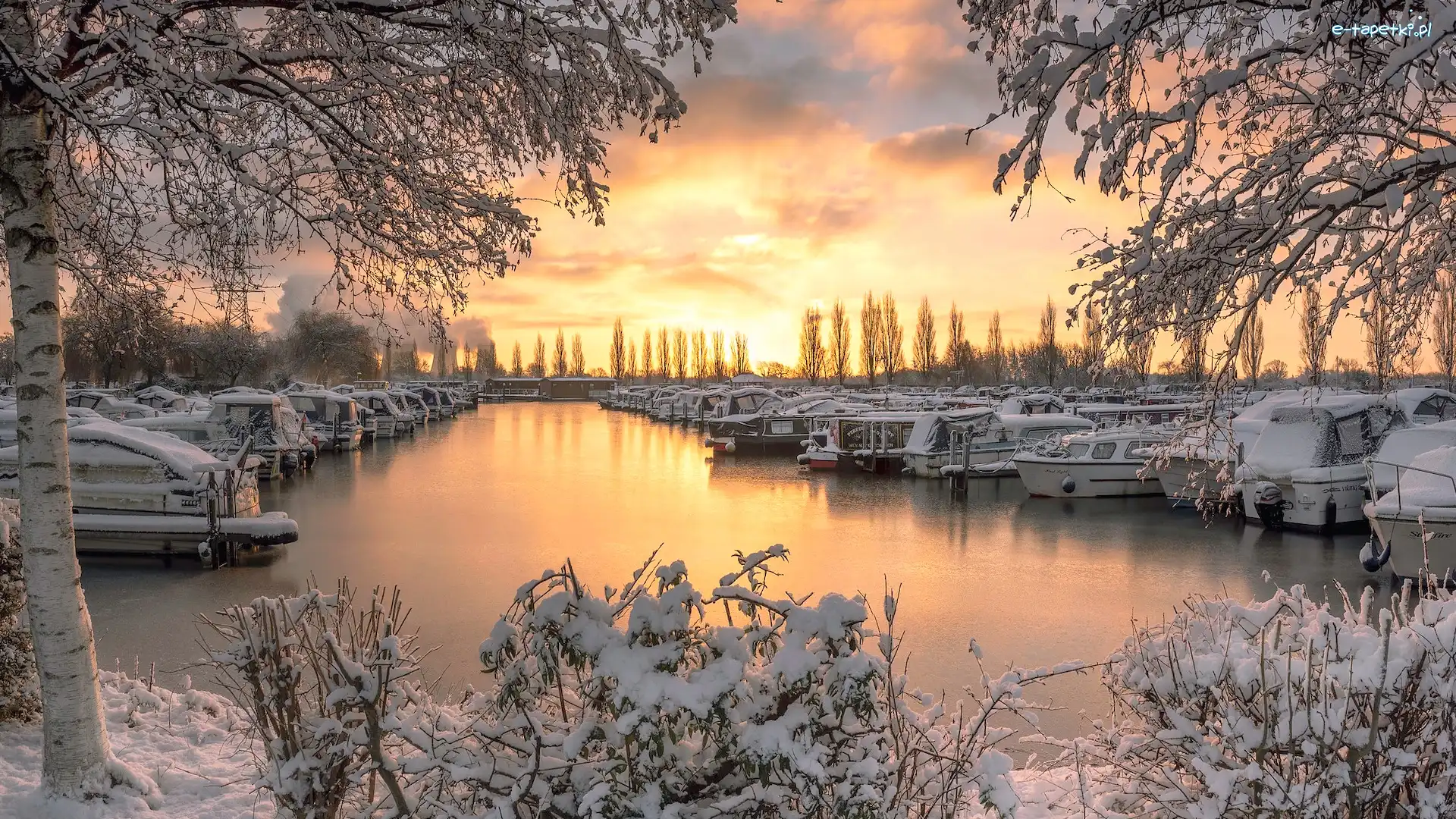 Przystań, Hrabstwo Derbyshire, Ośnieżone, Drzewa, Sawley Marina, Motorówki, Zima, Anglia