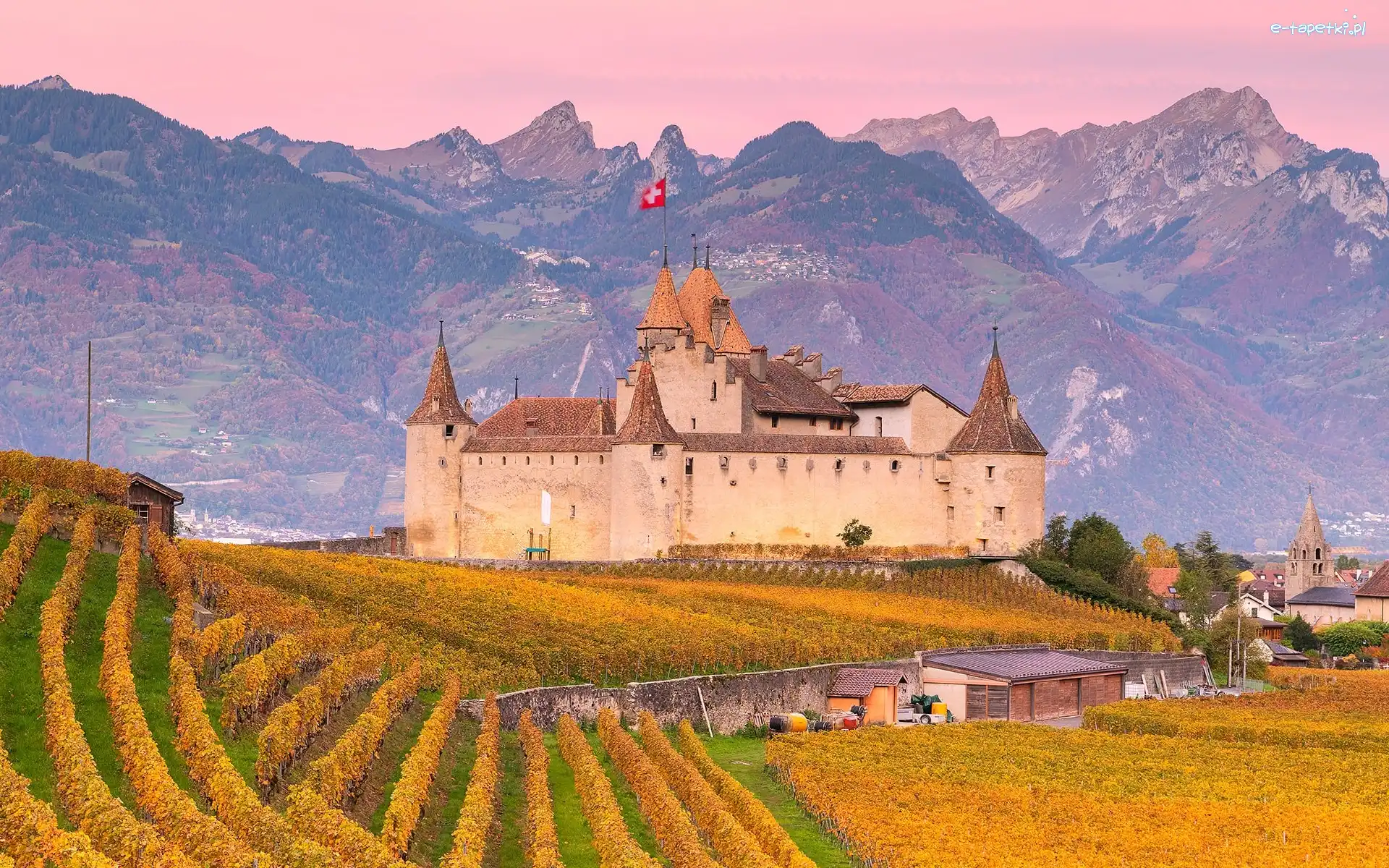 Winnice, Góry, Zamek, Region Chablais Vaudois, Szwajcaria, Plantacja, Aigle Castle