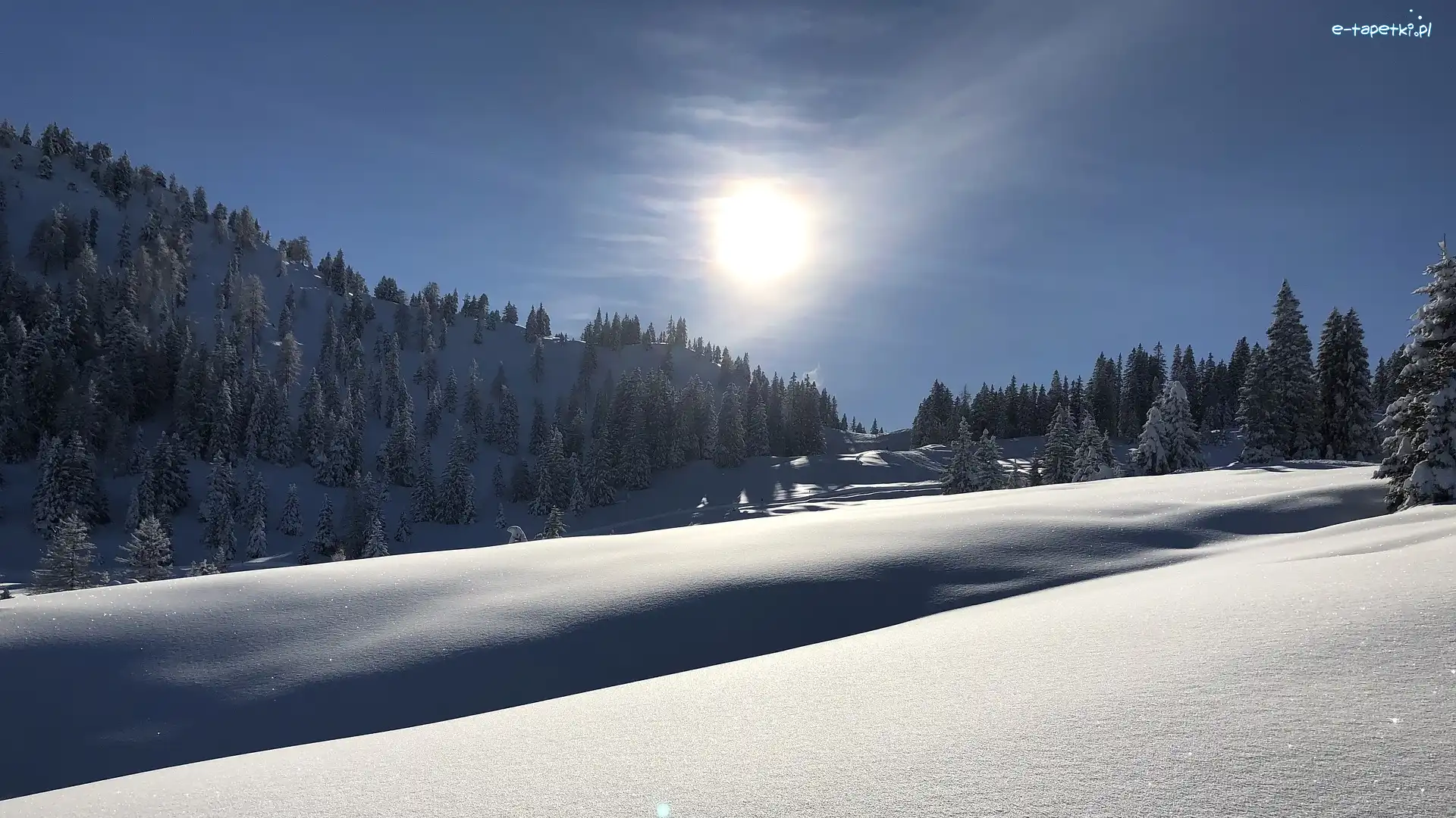 Zima, Las, Śnieg, Drzewa, Promienie słońca