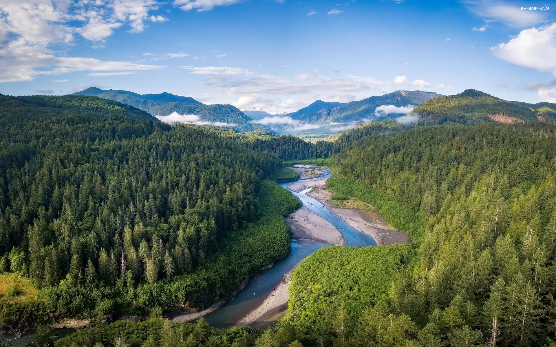 Lasy, Stan Waszyngton, Drzewa, Olympic Mountains, Rzeka, Elwha River, Góry, Stany Zjednoczone, Park Narodowy Olympic, Zielone
