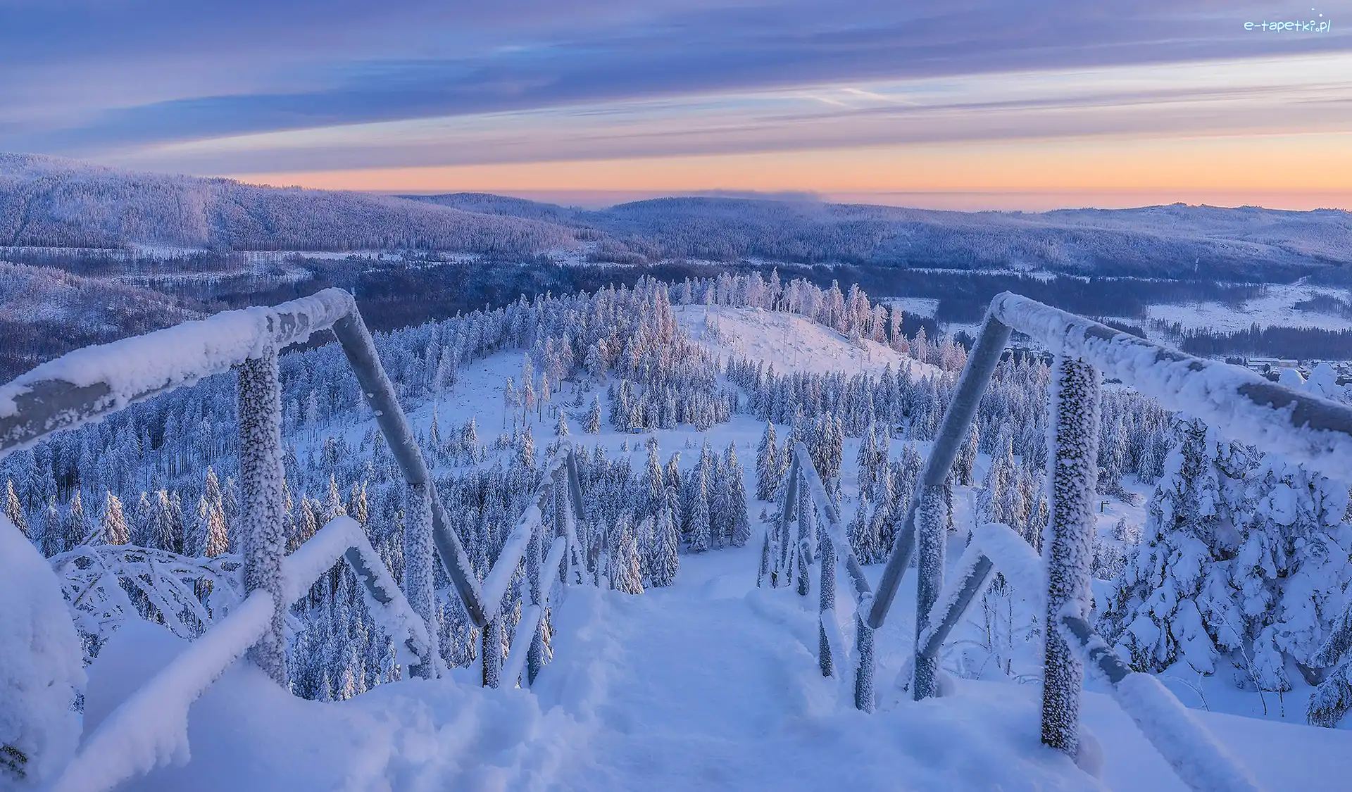Ośnieżone, Lasy, Drzewa, Poręcze, Śnieg, Zima