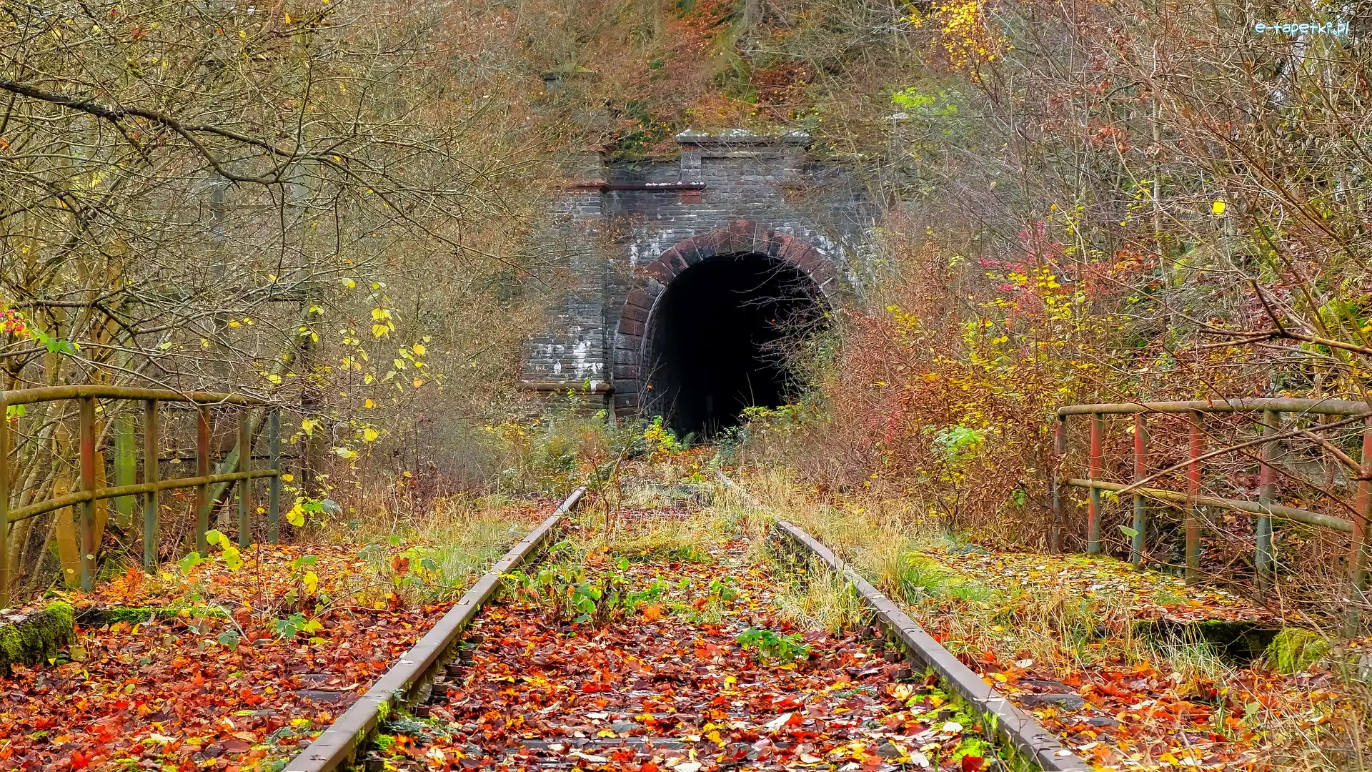 Krzewy, Liście, Drzewa, Tunel, Barierki, Tory kolejowe