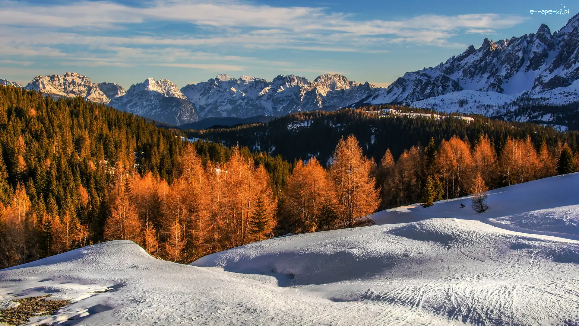 Włochy, Pożółkłe, Drzewa, Zima, Góry, Tyrol Południowy, Gmina Sexten