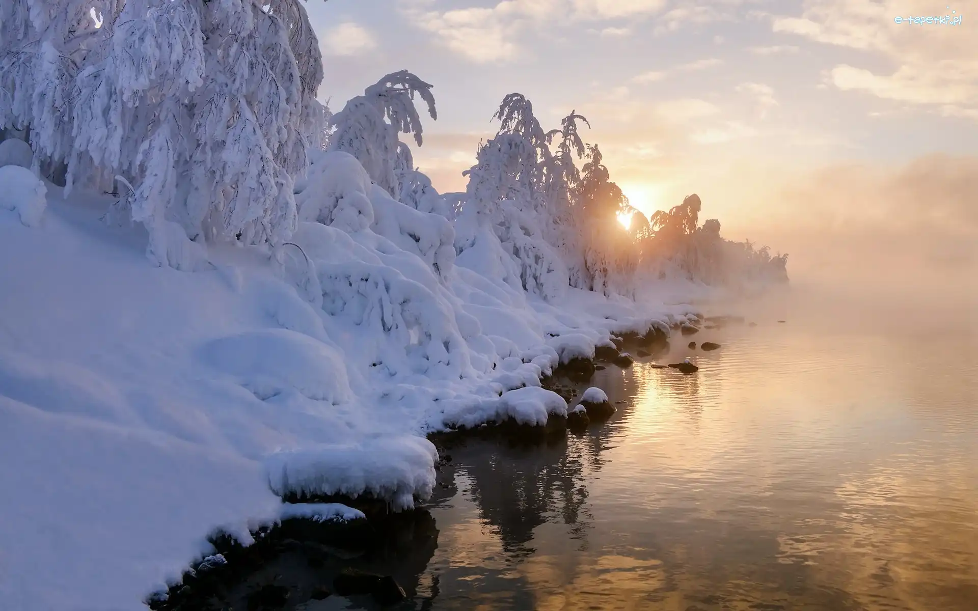 Jezioro, Zima, Śnieg, Mgła, Drzewa, Ośnieżone