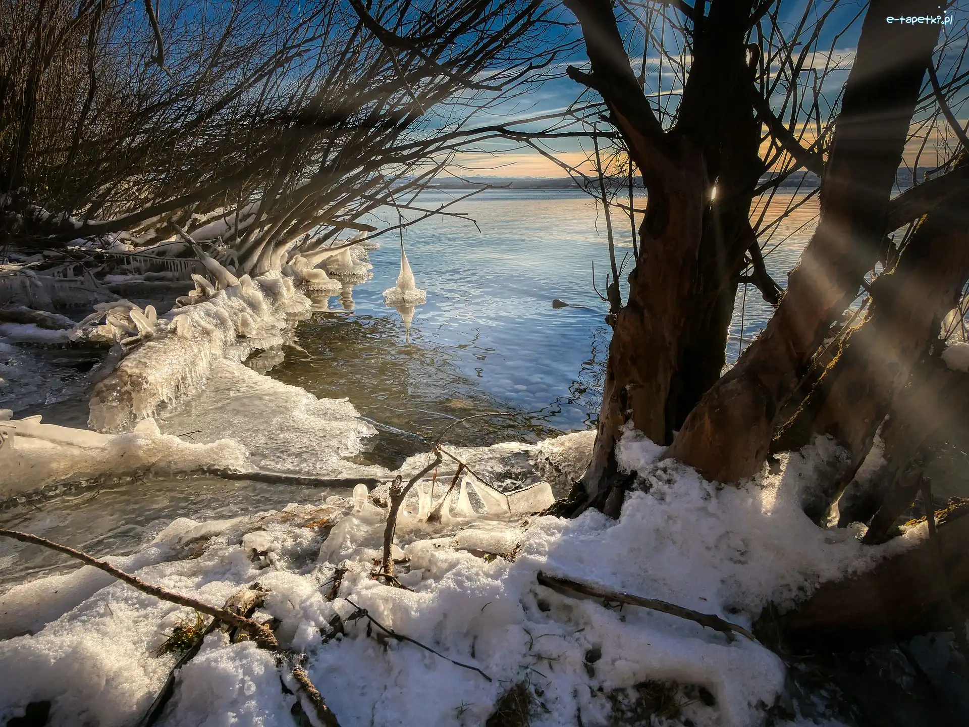 Śnieg, Lód, Drzewa, Krzewy, Zima, Niemcy, Bawaria, Sople, Jezioro Ammersee