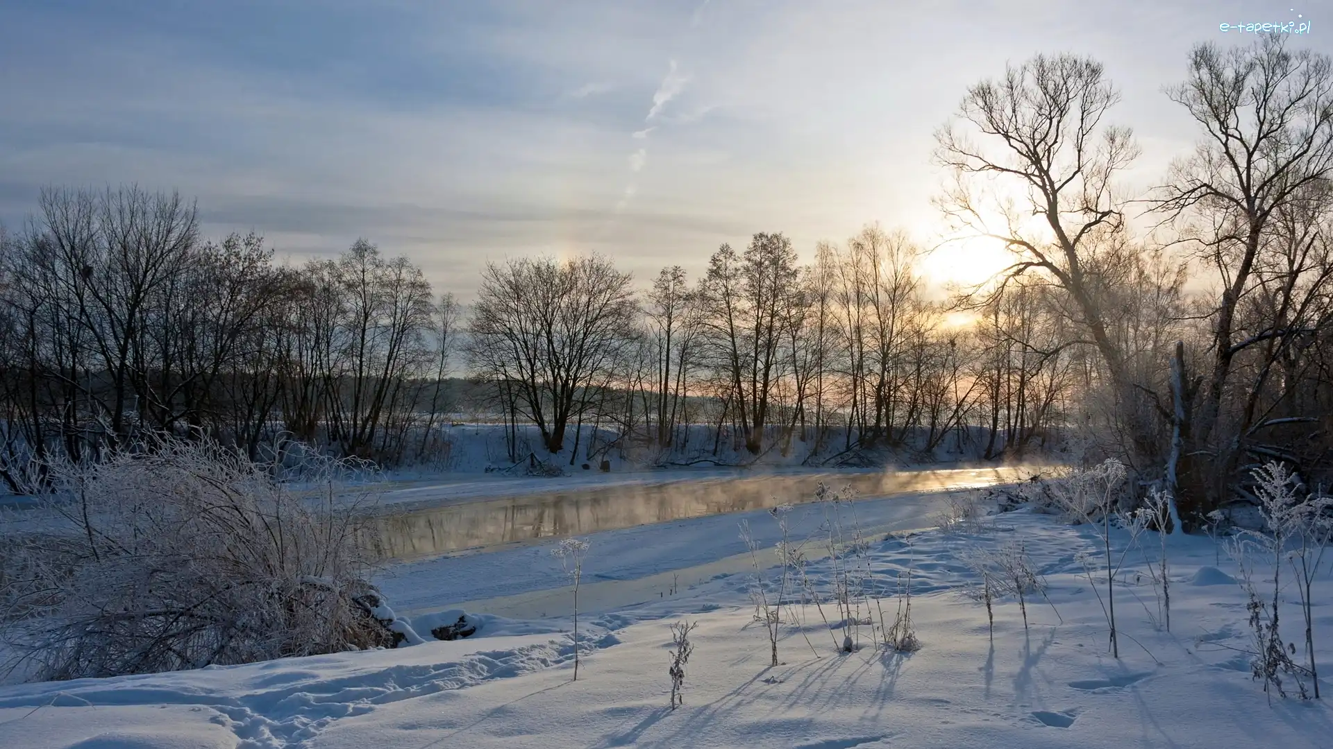 Zima, Drzewa, Rzeka, Śnieg, Krzewy