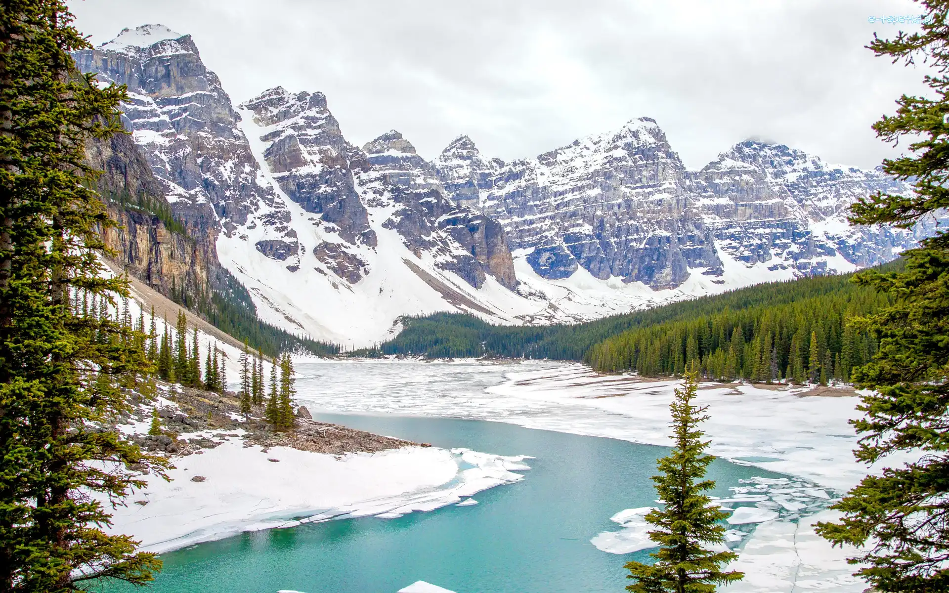 Drzewa, Góry Skaliste, Jezioro, Zima, Park Narodowy Banff, Kanada, Alberta, Moraine Lake, Śnieg