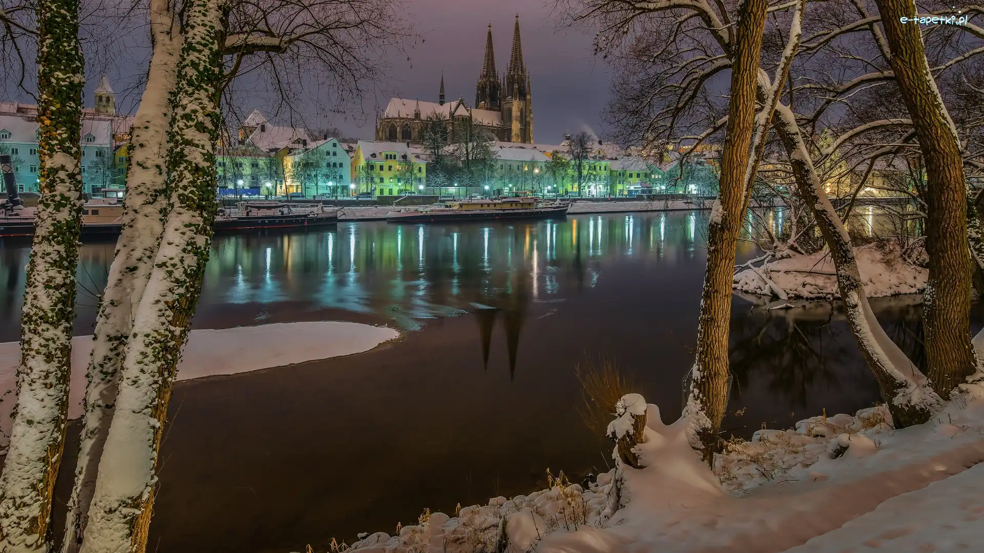 Zima, Miasto Ratyzbona, Niemcy, Drzewa, Domy, Katedra Św. Piotra, Kościół, Regensburg, Rzeka Dunaj, Bawaria