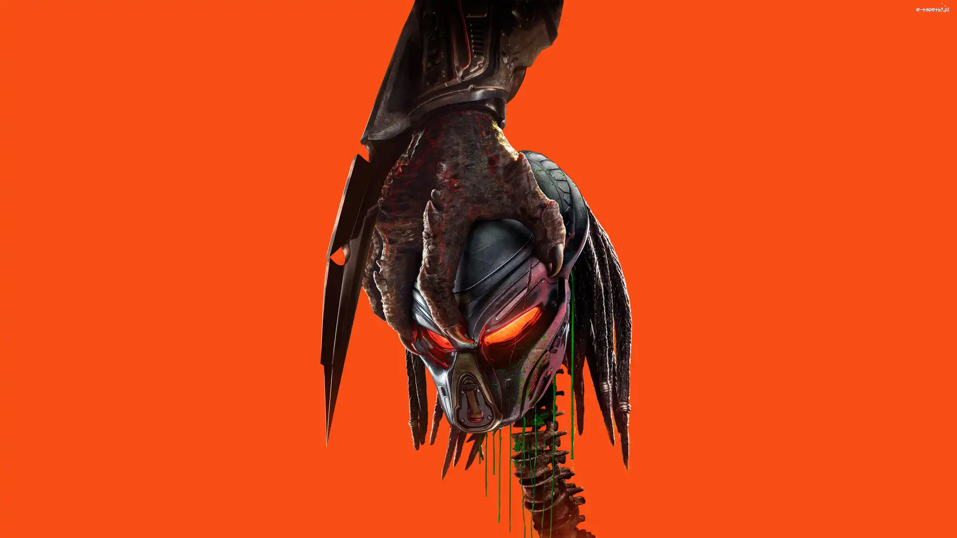 Film, Czaszka, Predator, Tło, Pomarańczowe