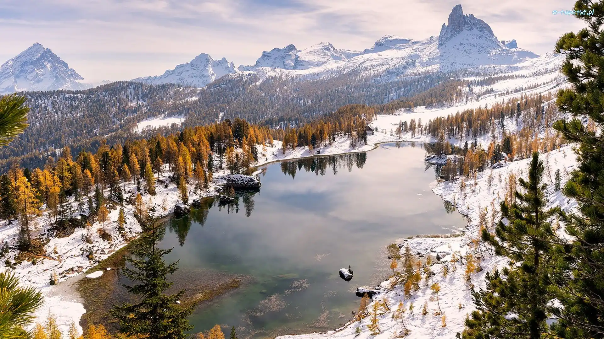 Las, Lago Federa, Dolomity, Góry, Zima, Włochy, Cortina dAmpezzo, Jezioro, Drzewa