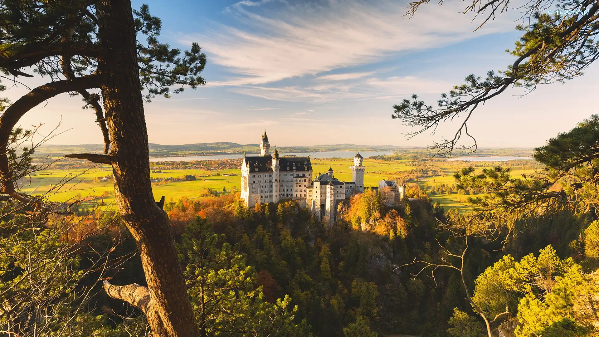 Niemcy, Zamek Neuschwanstein, Drzewa, Wzgórze, Jesień, Bawaria, Pola