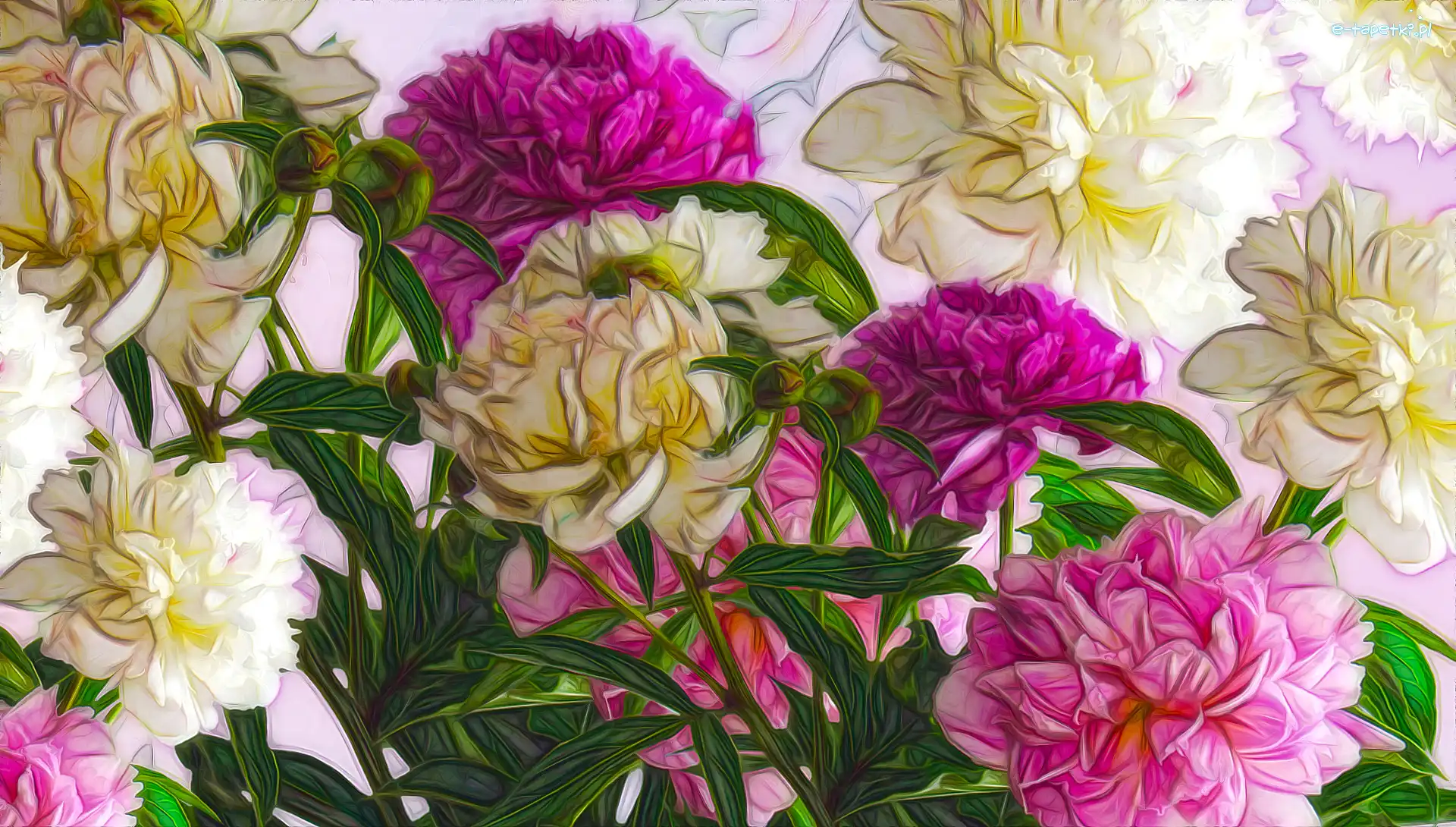 Fractalius, Piwonie, Kwiaty