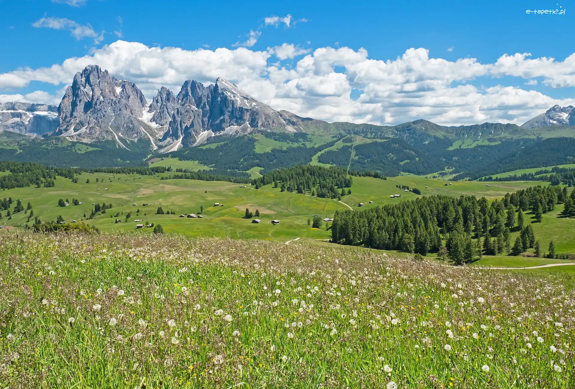 Płaskowyż Seiser Alm, Dolina Val Gardena, Lato, Drzewa, Łąka, Włochy, Dolomity, Domy, Góry Sassolungo