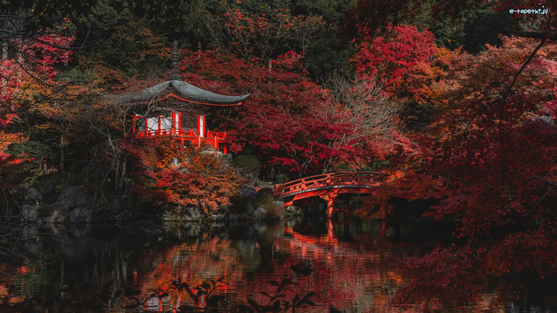 Drzewa, Kompleks Daigo-ji, Świątynia, Kioto, Japonia, Odbicie, Jesień, Bentendo Temple, Mostek