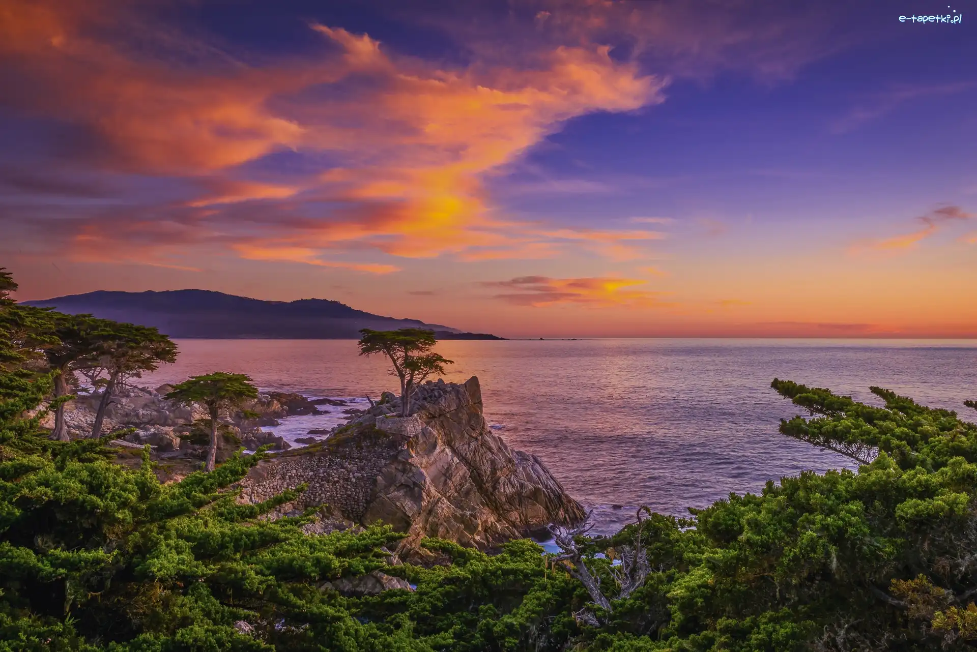 Pebble Beach, Cyprysy, Drzewa, Zatoka, Morze, Kalifornia, Zachód słońca, Carmel Bay, Lone Cypress, Stany Zjednoczone, Atrakcja, Skały