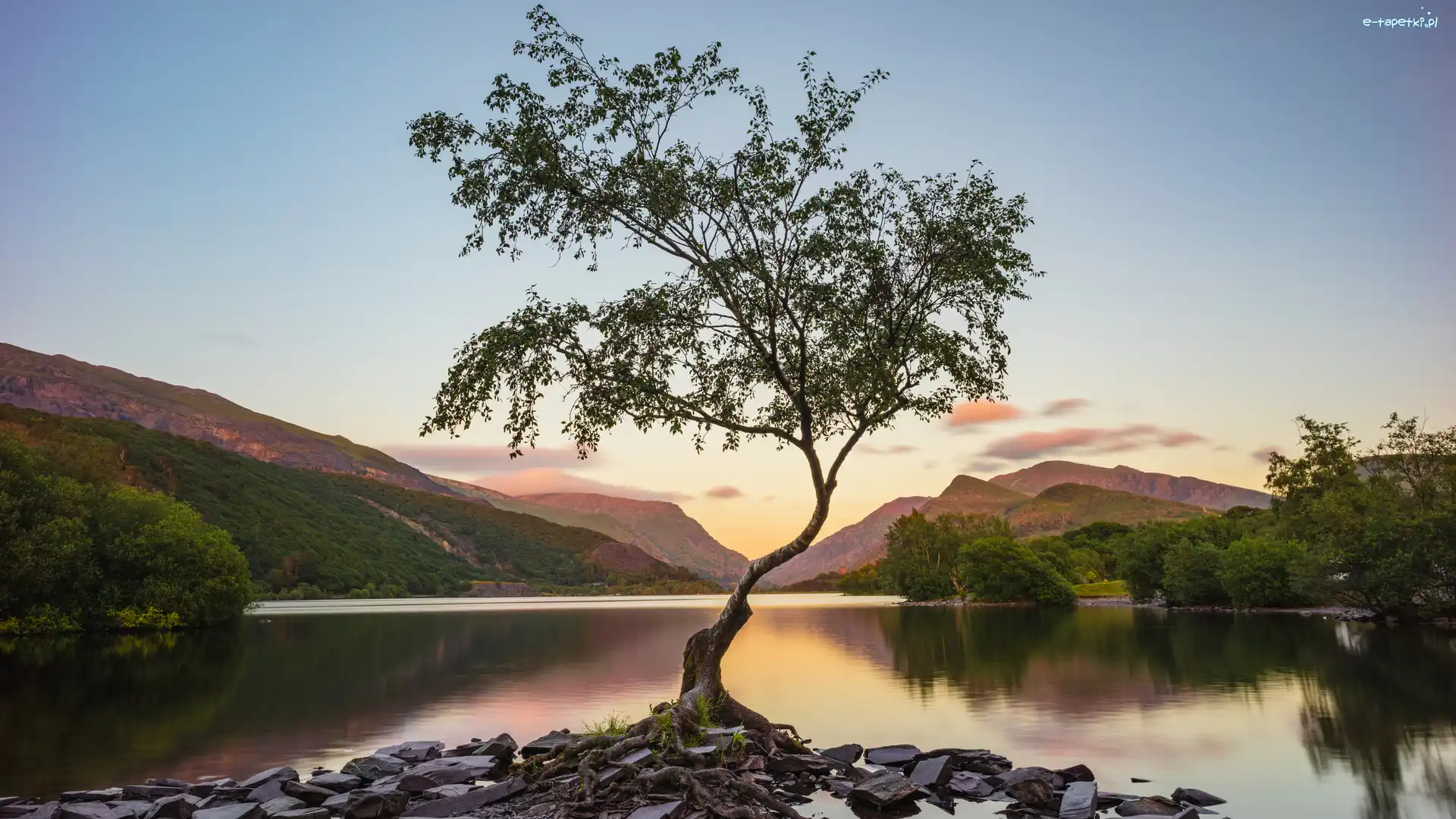 Wielka Brytania, Kamienie, Góry, Drzewo, Jezioro Llyn Padarn, Walia, Park Narodowy Snowdonia