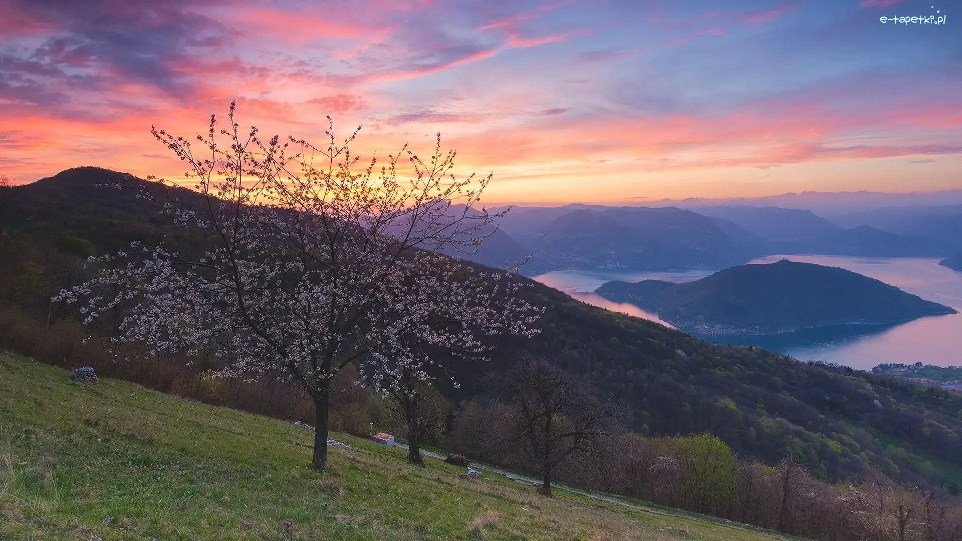 Drzewa, Włochy, Domy, Lake Iseo, Wiosna, Góry, Dolina Val Camonica, Chmury, Alpy Lombardzkie, Jezioro, Zachód słońca