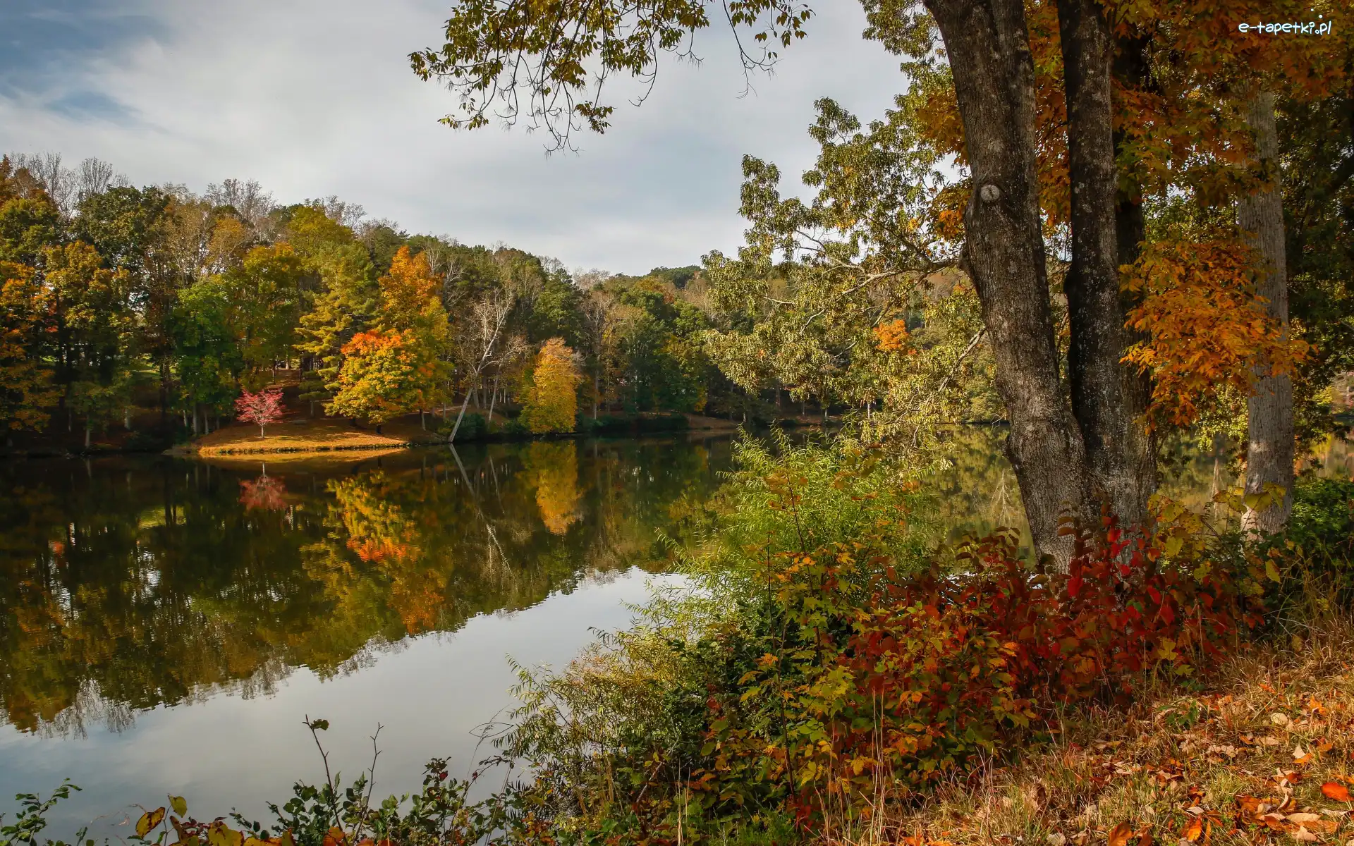 Lanier Lake, Jezioro, Liście, Drzewa, Jesień, Stany Zjednoczone, Stan Wirginia, Krzewy, Martinsville