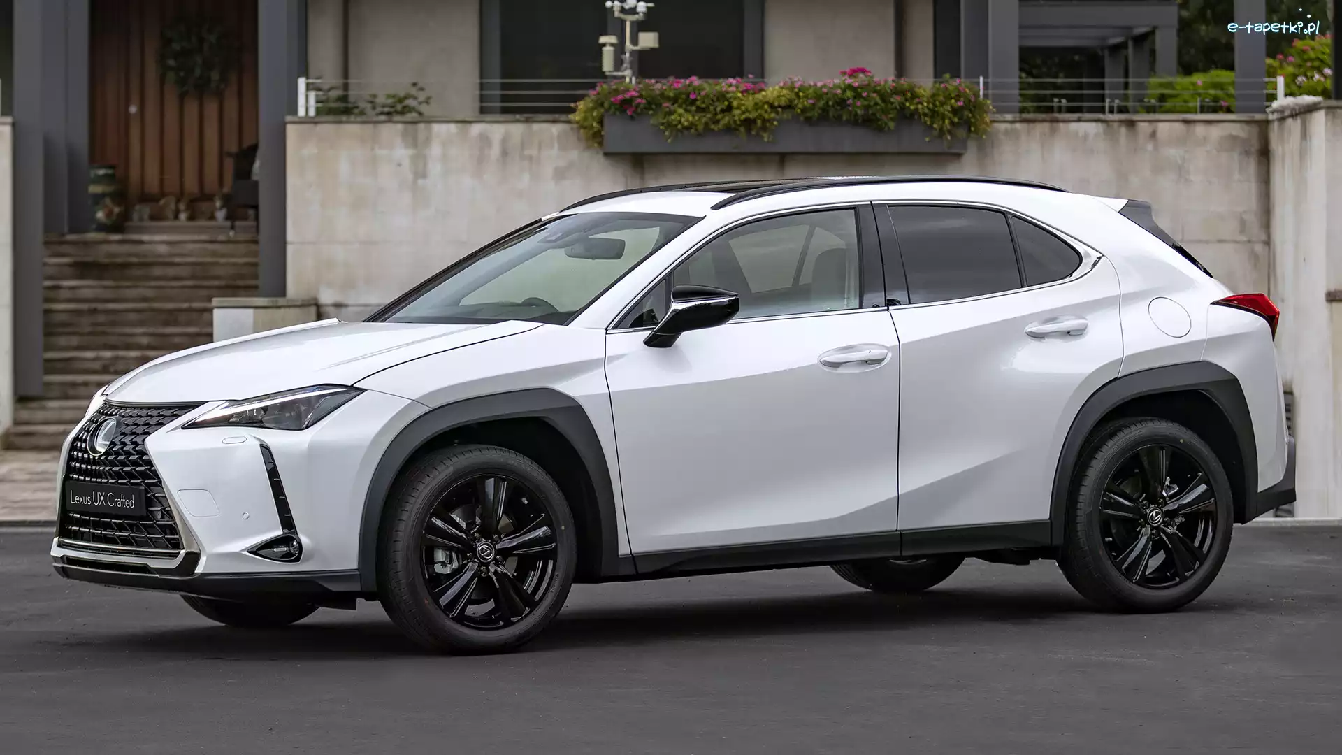 Bok, Lexus UX, Biały