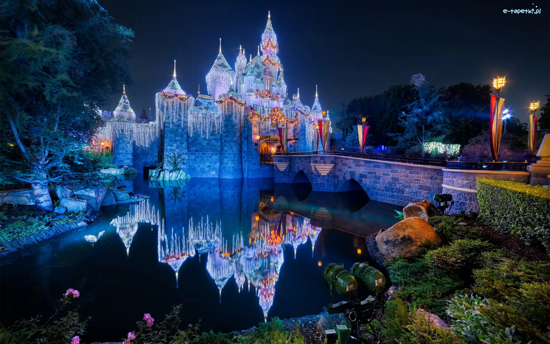 Most, Kalifornia, Odbicie, Noc, Disneyland, Oświetlony, Zamek Śpiącej Królewny, Stany Zjednoczone, Anaheim, Staw