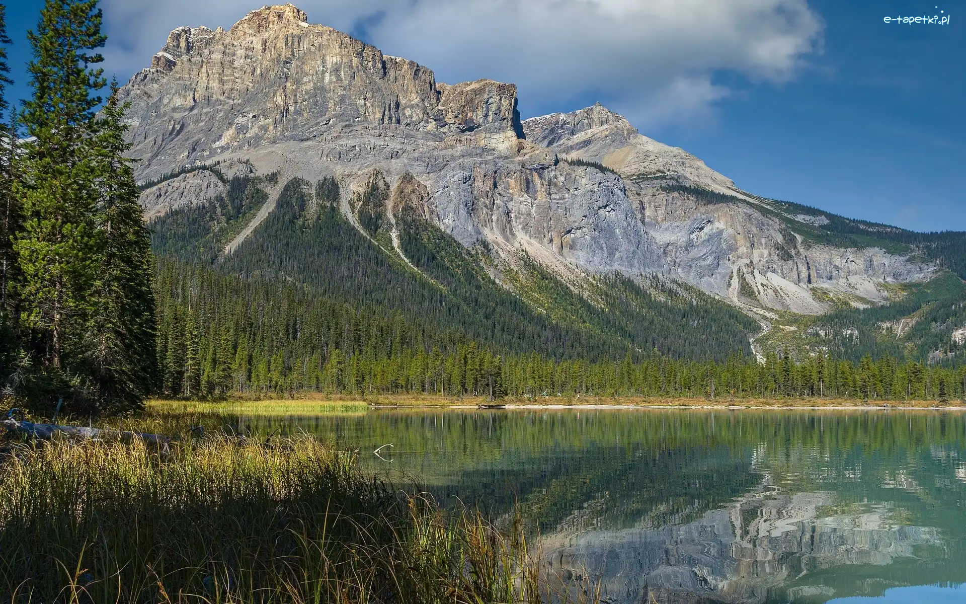 Kanada, Jezioro, Emerald Lake, Góry Skaliste, Park Narodowy Yoho, Kolumbia Brytyjska, Drzewa