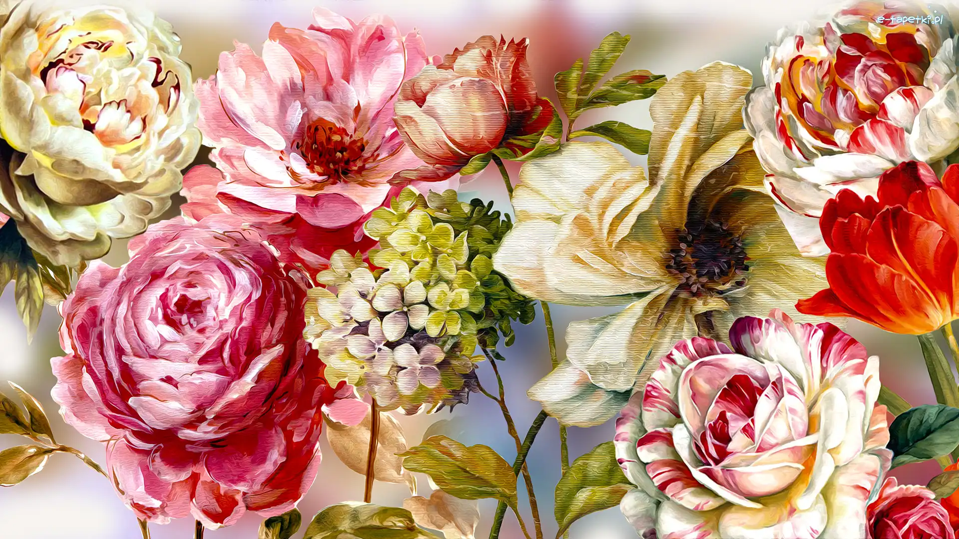 Kwiaty, Tulipany, Piwonie, Grafika