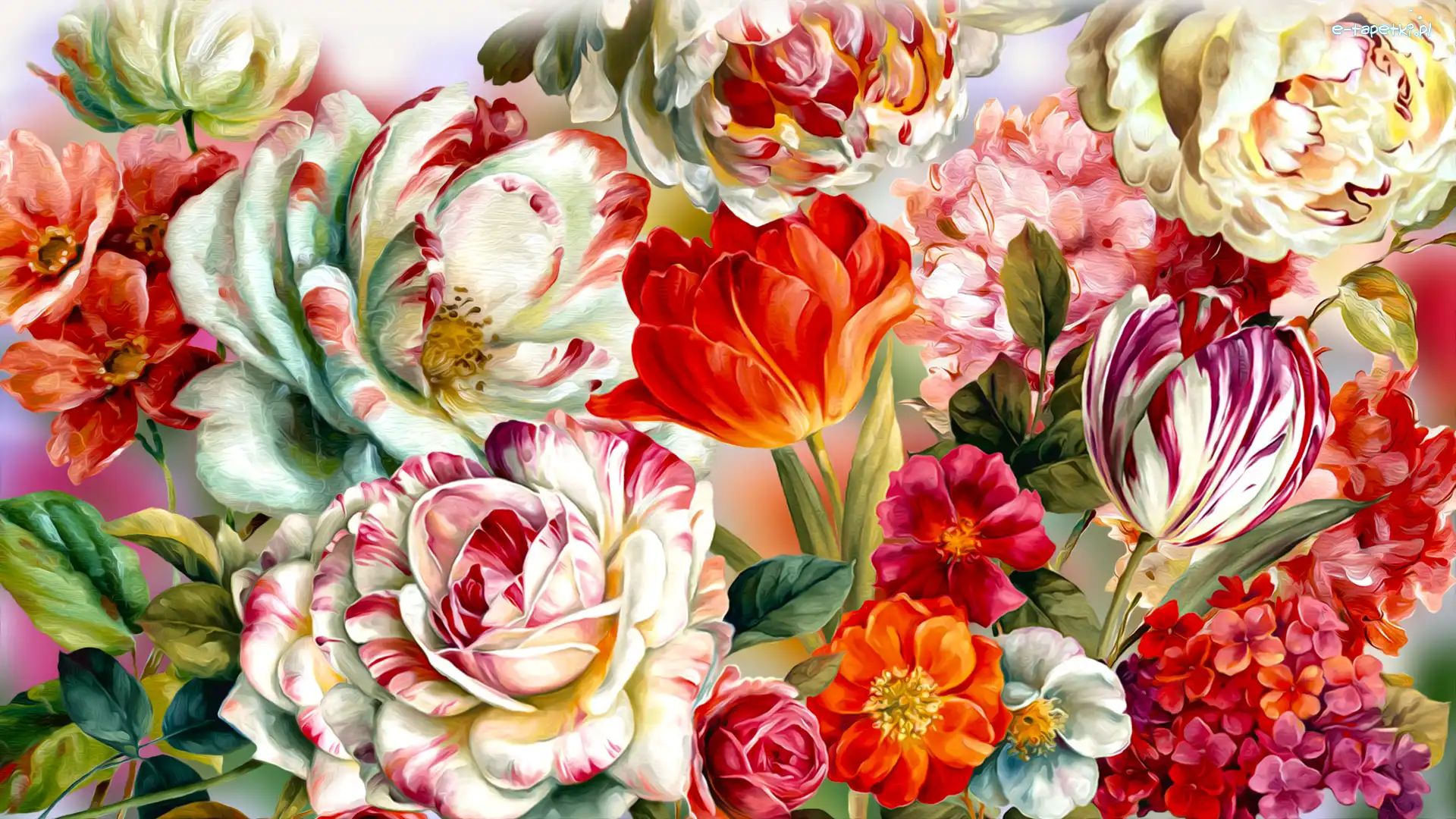 Kwiaty, Tulipany, Kolorowe, Grafika, Piwonie