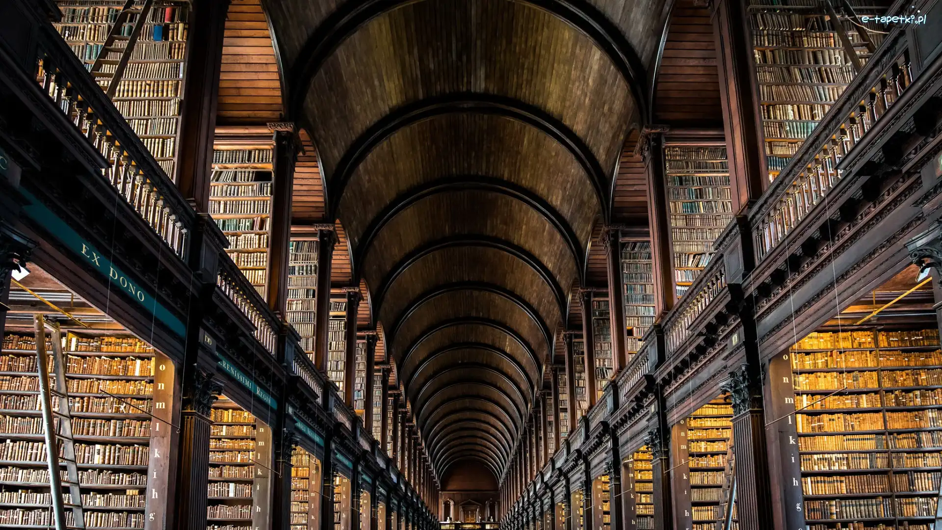 Biblioteka Trinity College, Książki, Wnętrze, Irlandia, Dublin
