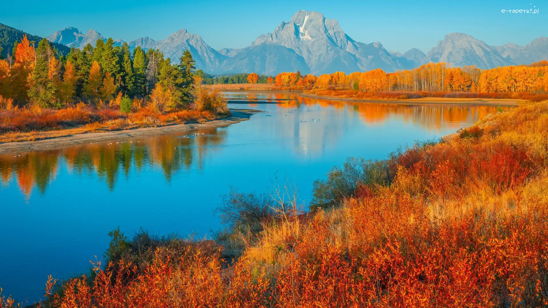 Jesień, Rzeka, Stany Zjednoczone, Trawa, Góry, Teton Range, Drzewa, Park Narodowy Grand Teton, Snake River, Stan Wyoming