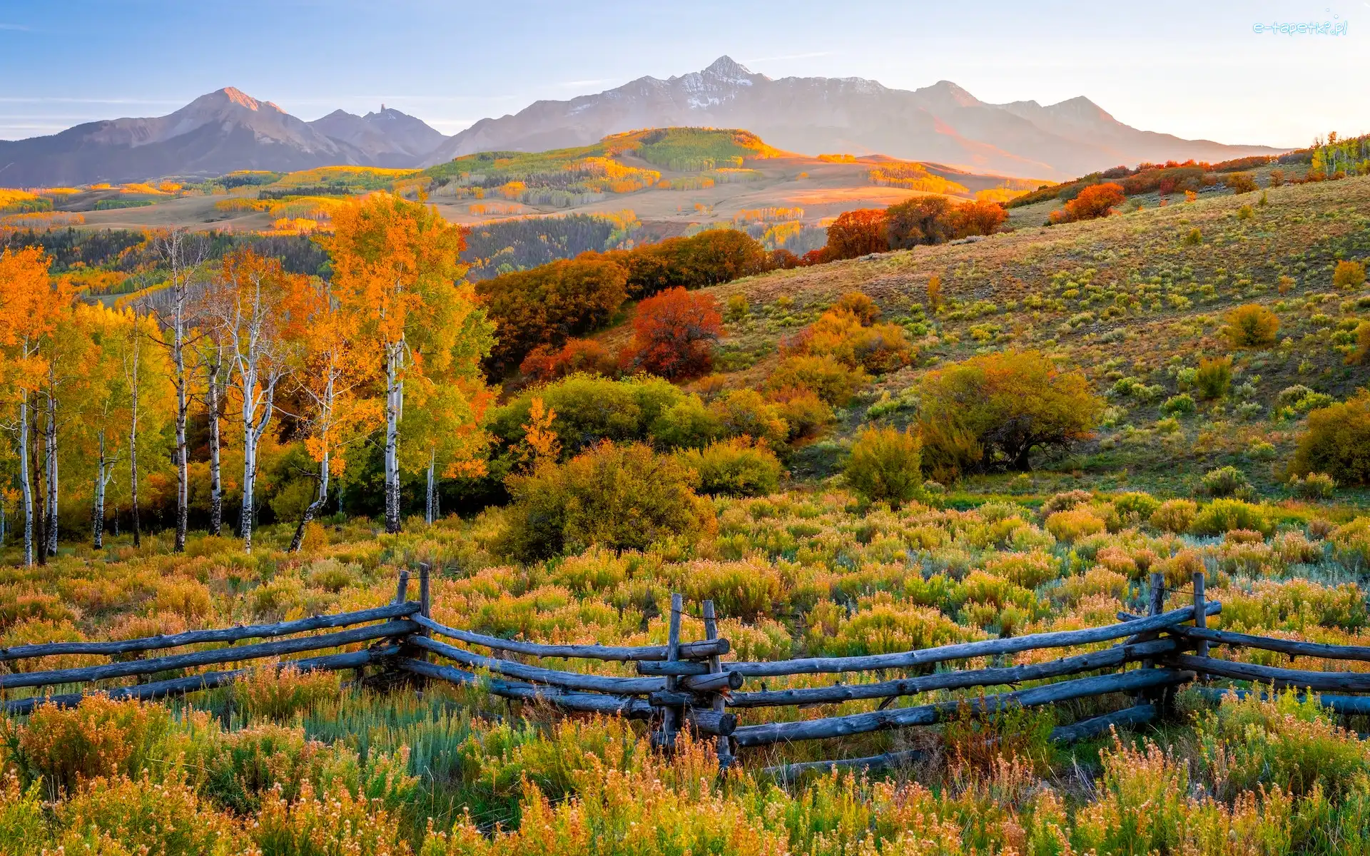 San Juan Mountains, Góry, Telluride, Stan Kolorado, Stany Zjednoczone, Ogrodzenie, Drzewa, Jesień, Kolorowe