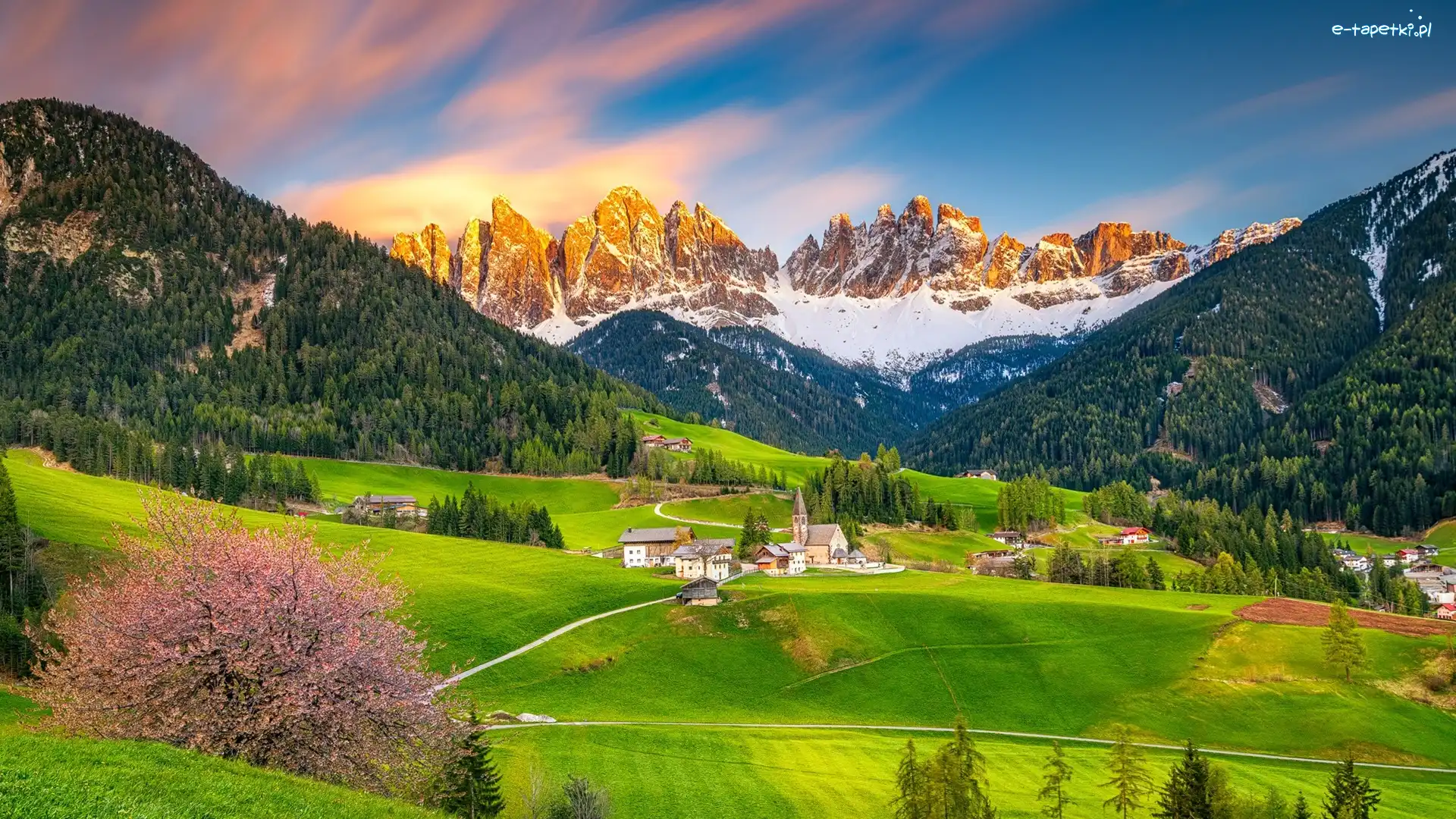 Domy, Val di Funes, Lasy, Kościół, Okwiecone, Dolina, Góry, Drzewa, Wieś, Włochy, Dolomity, Wiosna, Drzewo, Santa Maddalena