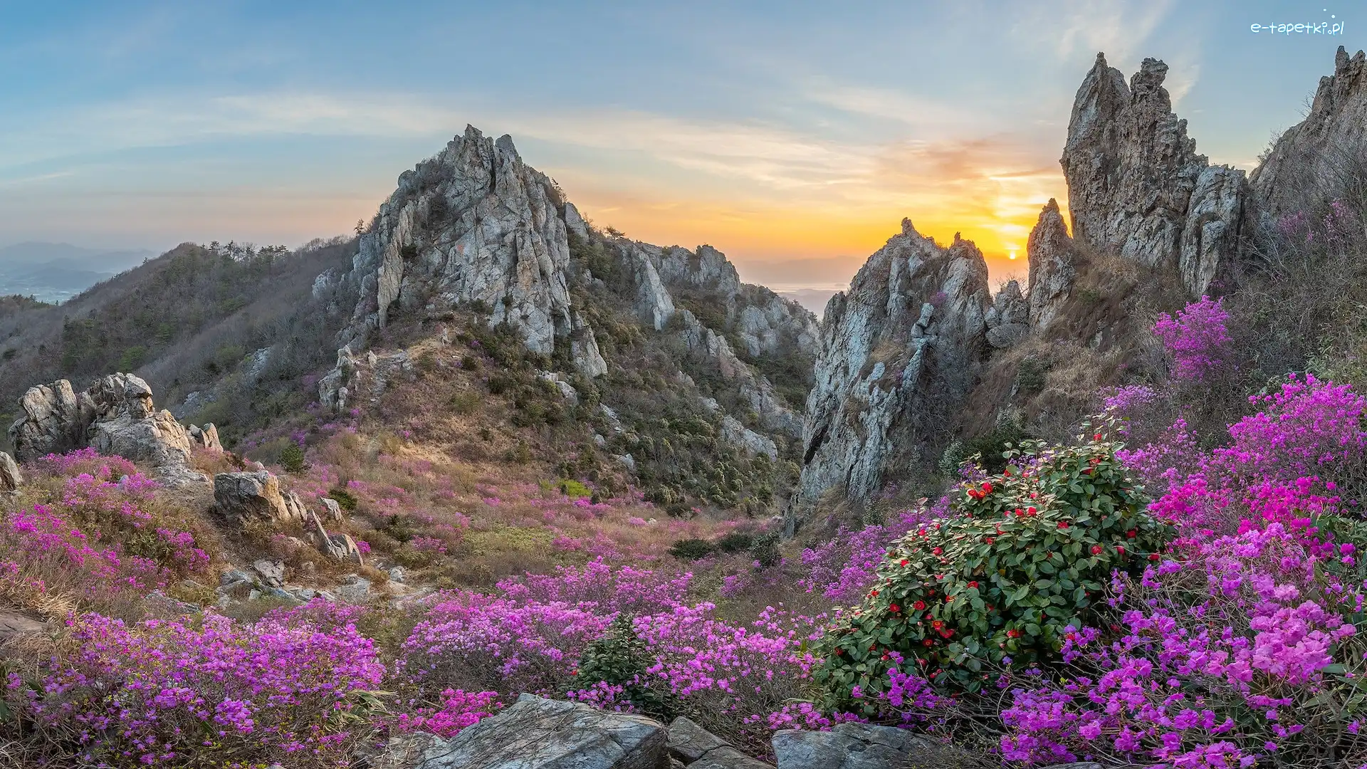 Góry Jujaksan, Kwiaty, Skały, Korea Południowa