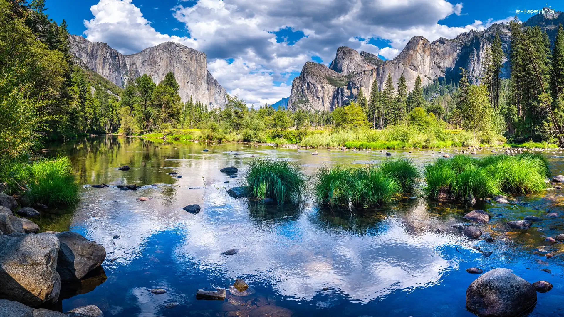 Trawa, Zielona, Merced River, Rzeka, Góry, Stany Zjednoczone, Kalifornia, Kępki, Park Narodowy Yosemite