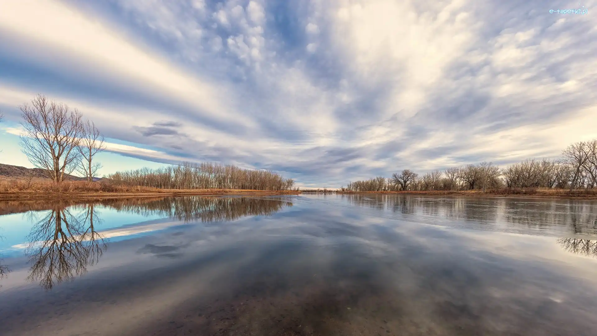 Stany Zjednoczone, Bezlistne, Drzewa, Lake Chatfield, Jezioro, Kolorado, Chatfield State Park