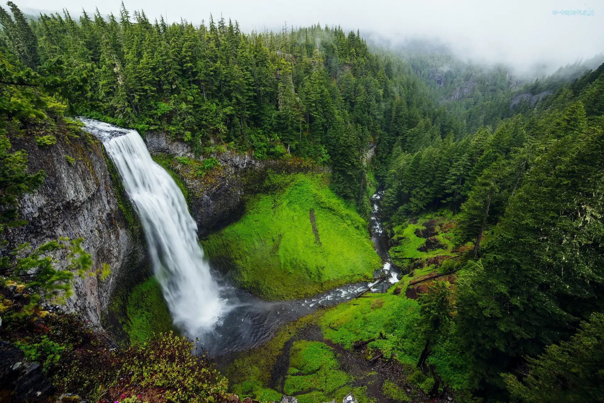 Lasy, Salt Creek Falls, Stany Zjednoczone, Oregon, Skały, Rzeka, Willamette River, Wodospad