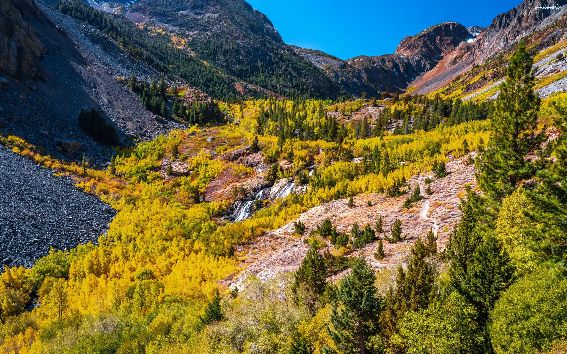 Wąwóz, Rzeka, Lasy, Drzewa, Góry, Stany Zjednoczone, Kalifornia, Jesień, Lundy Canyon