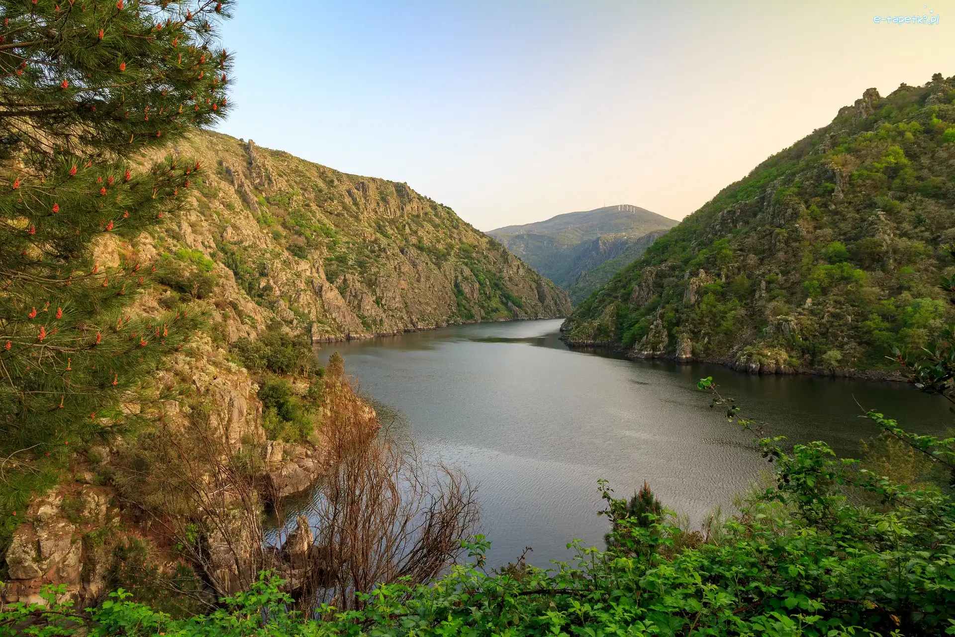 Góry, Rzeka Sil, Wąwóz Sil Canyon, Drzewa, Galicja, Hiszpania