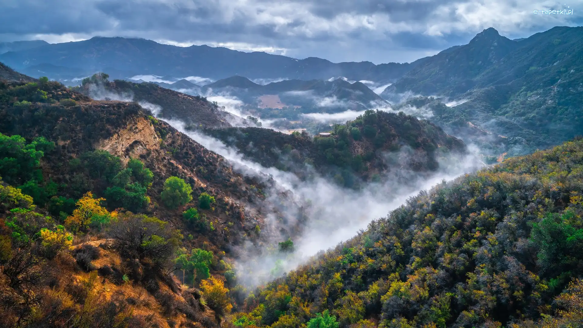 Trawy, Kalifornia, Roślinność, Mgła, Park stanowy Malibu Creek, Góry Santa Monica, Wąwóz, Stany Zjednoczone