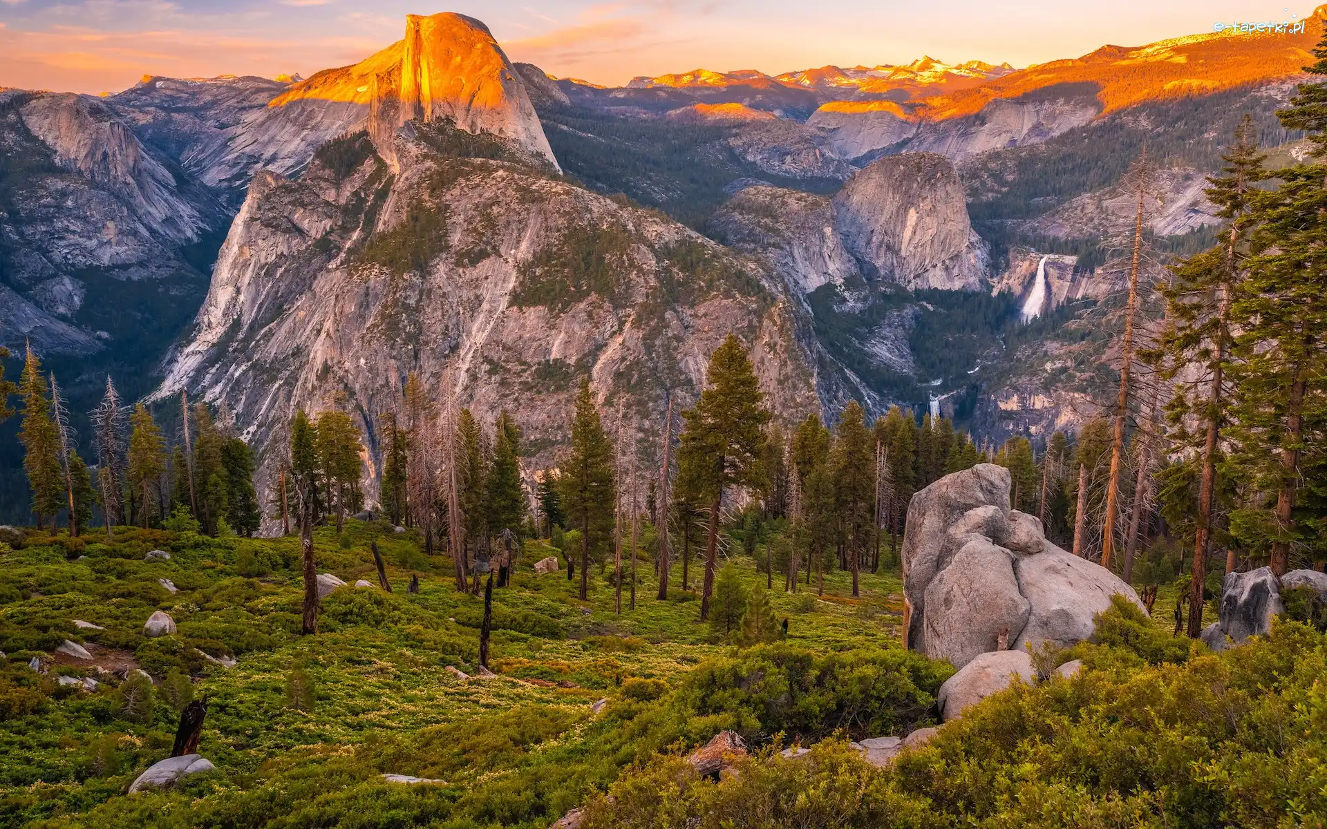 Roślinność, Drzewa, Góra, Góry, Park Narodowy Yosemite, Stany Zjednoczone, Kalifornia, Half Dome, Skały