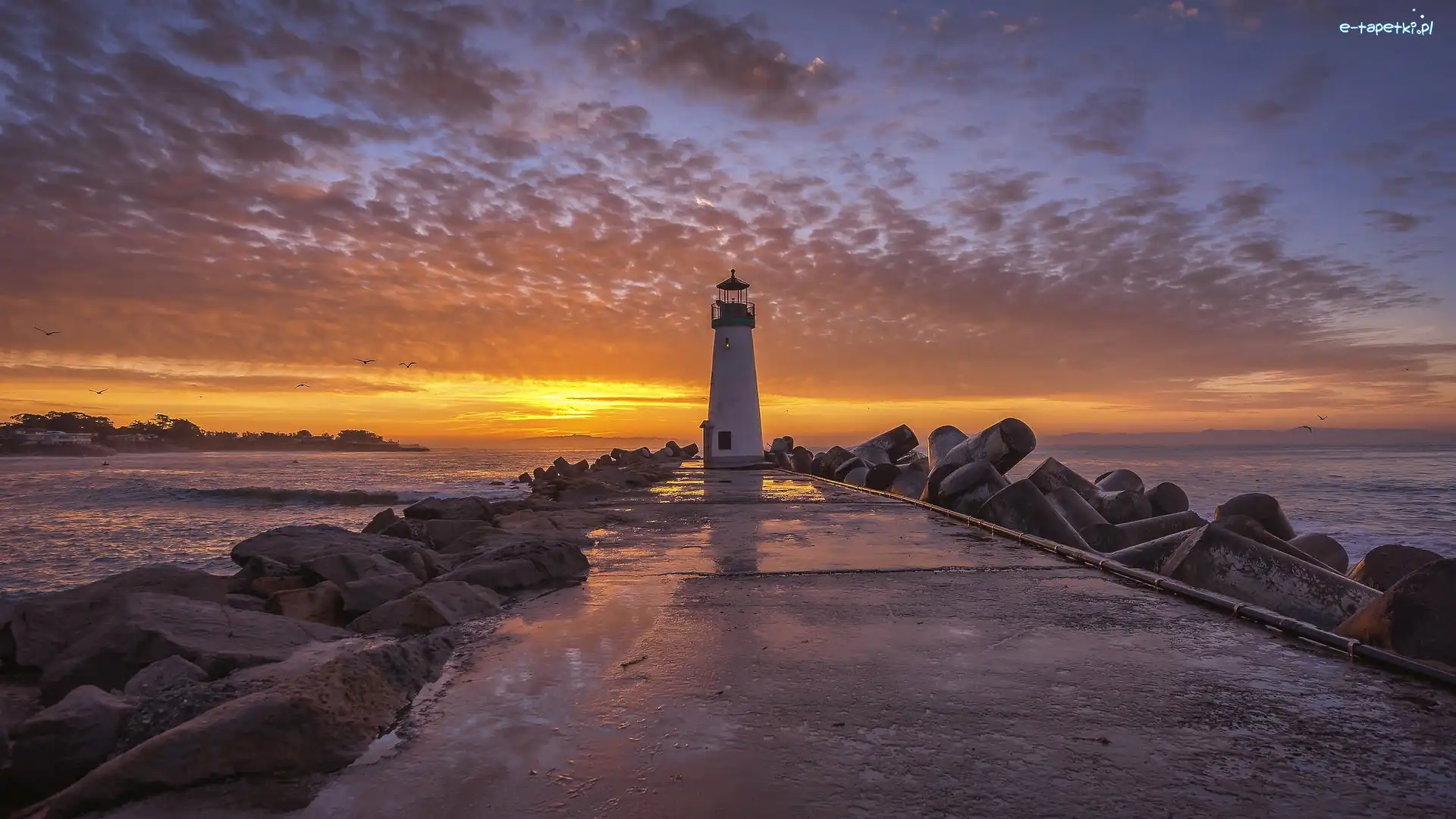 Santa Cruz, Latarnia morska Walton Lighthouse, Stany Zjednoczone, Ptaki, Wschód słońca, Niebo, Chmury, Morze, Kamienie, Stan Kalifornia