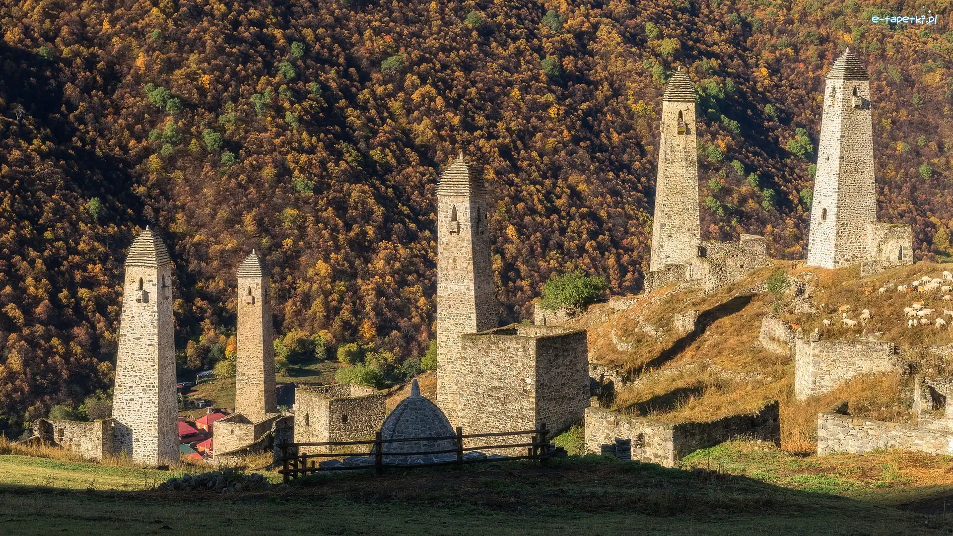 Rosja, Wieże, Kaukaz, Skarpa, Drzewa, Republika Inguszetii, Erzi